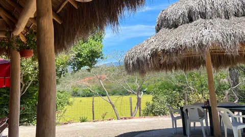 Restaurante La palapa image 3