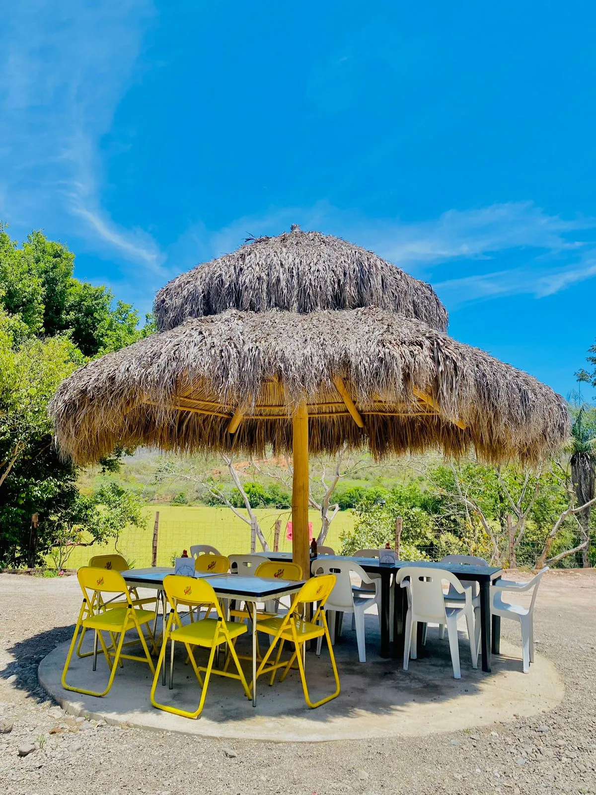 Restaurante La palapa image 4