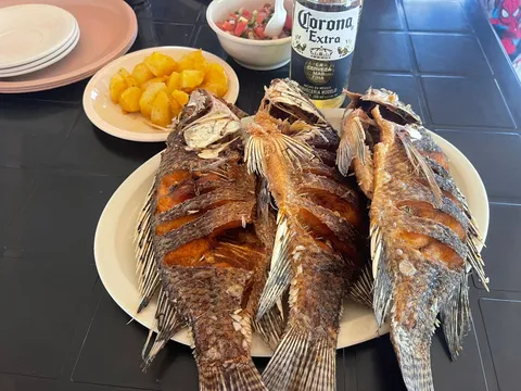 Restaurante La palapa image 6