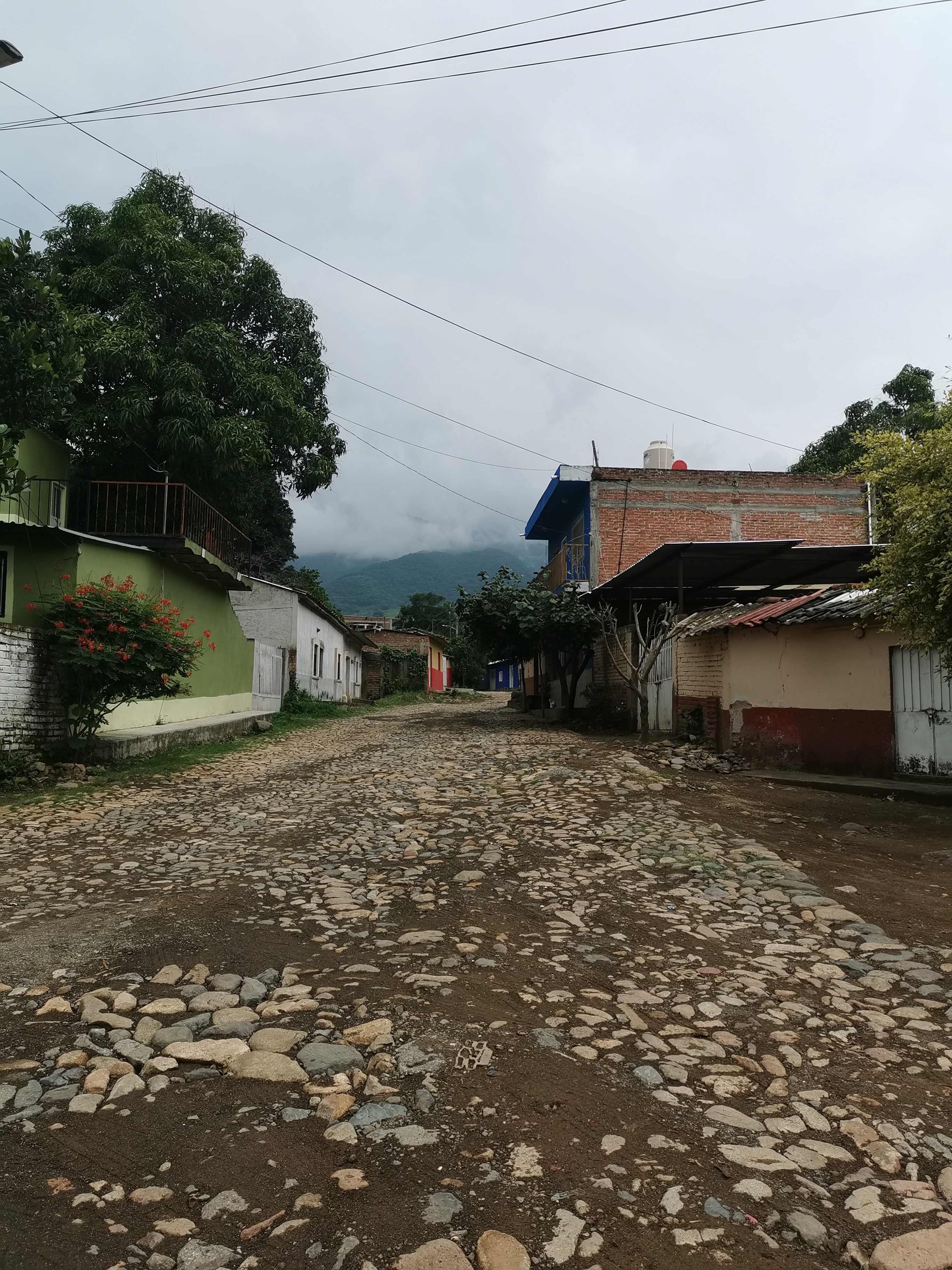 Restaurant"La Terraza" en Ahuacapán, Jal. image 1