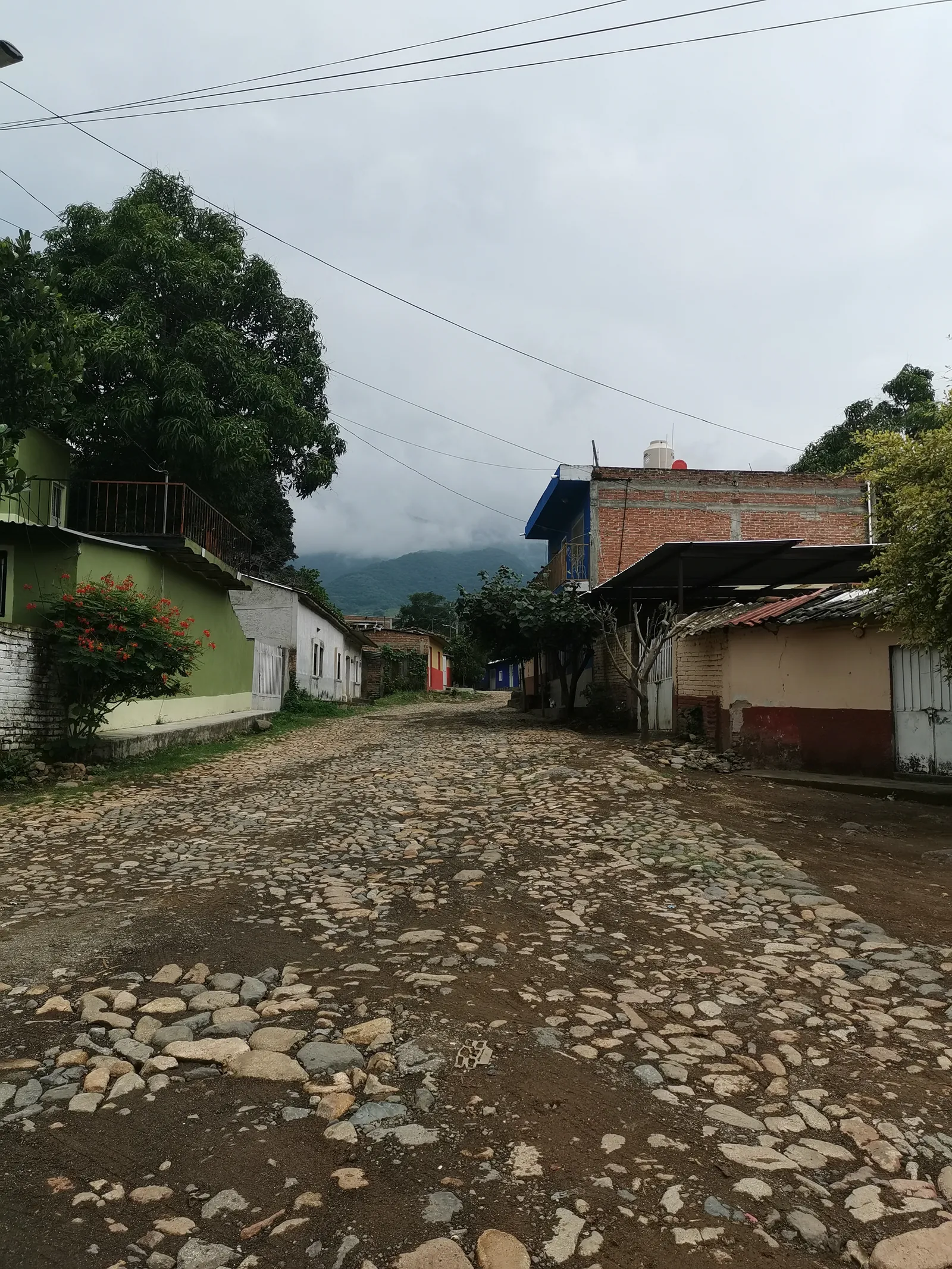 Restaurant"La Terraza" en Ahuacapán, Jal. image 1