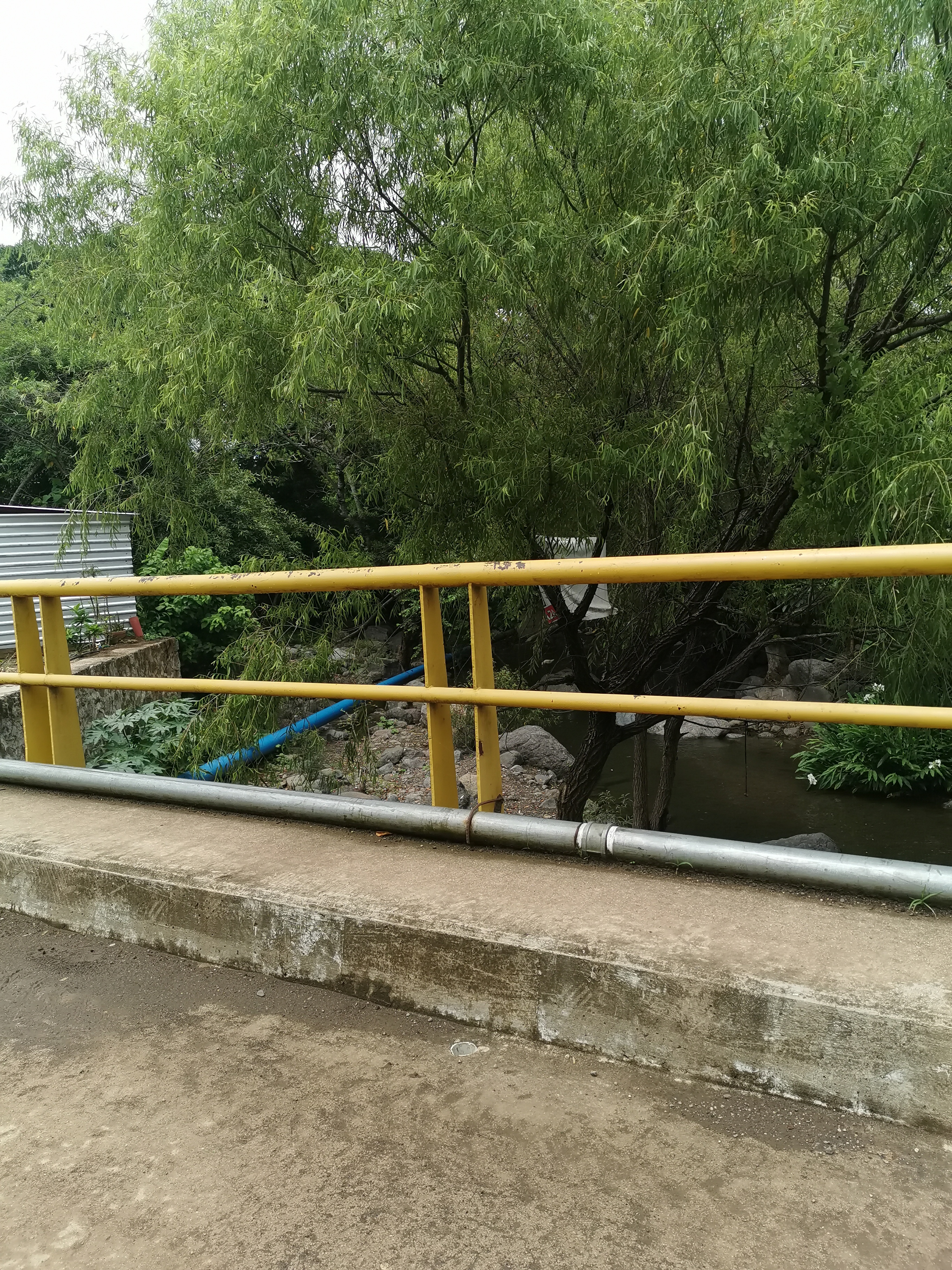 Restaurant"La Terraza" en Ahuacapán, Jal. image 4