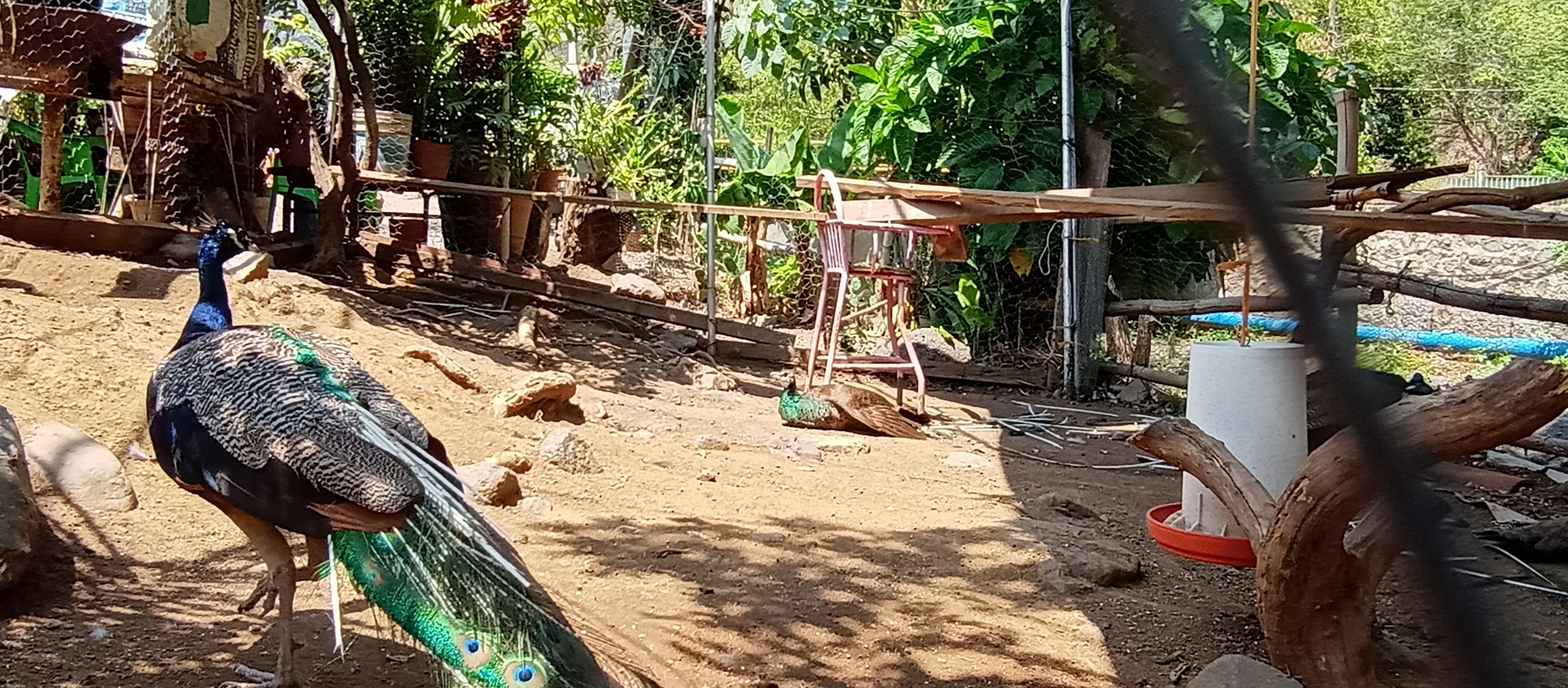 Restaurant"La Terraza" en Ahuacapán, Jal. image 7