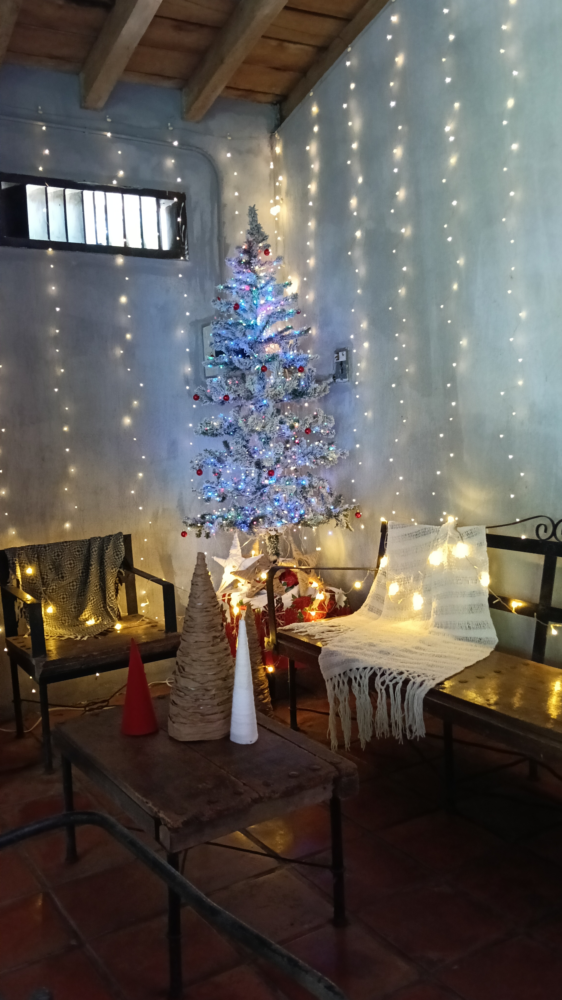 Restaurante de Mariscos "Titanic" image 4