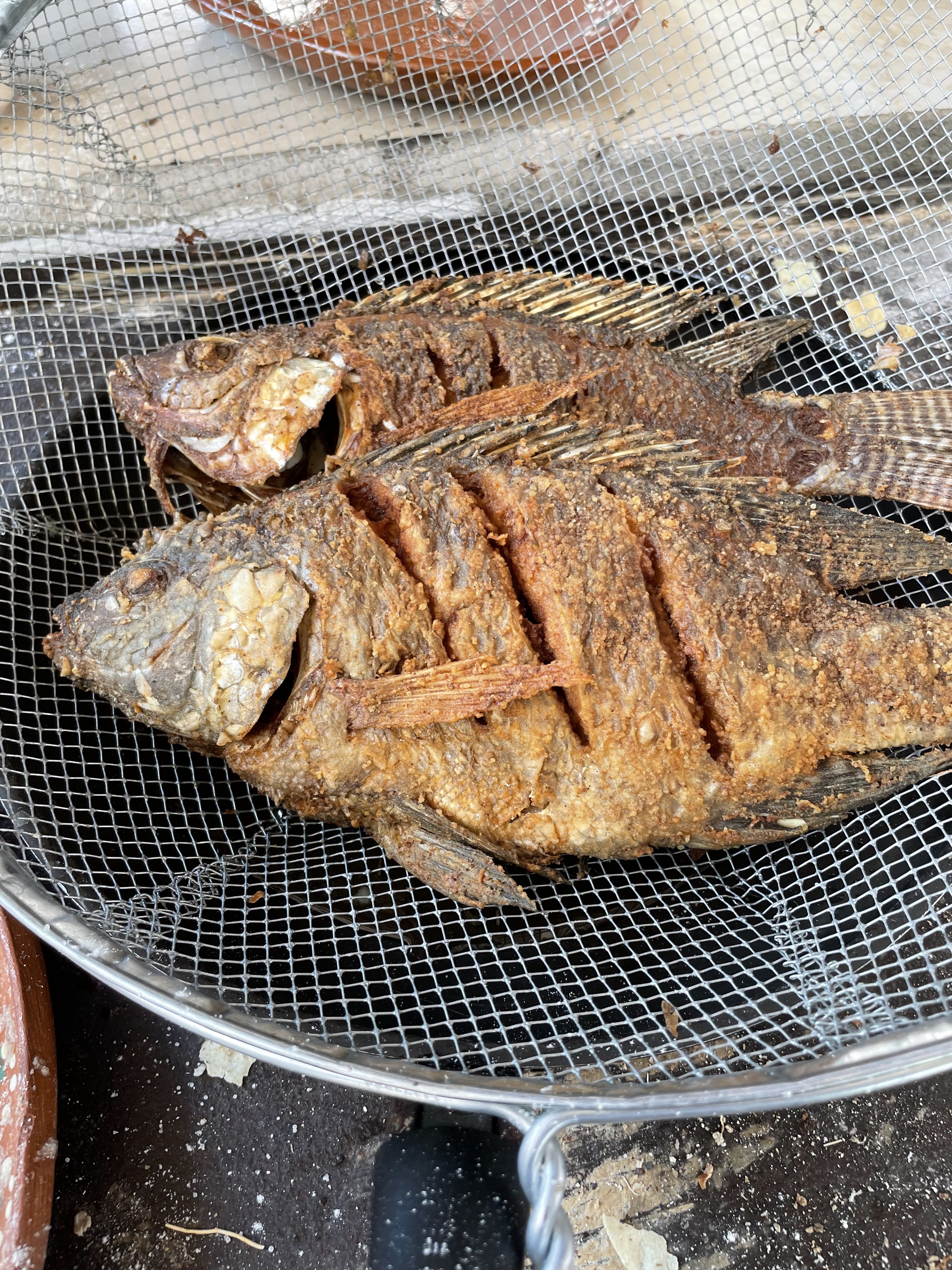 Restaurante “El Jalisciense “ image 8