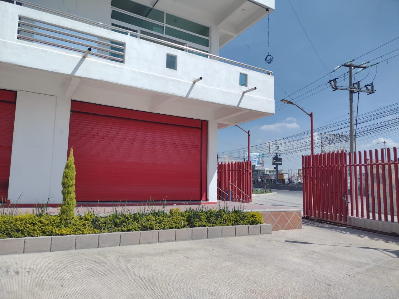 Mr. Tora Sushi image 3