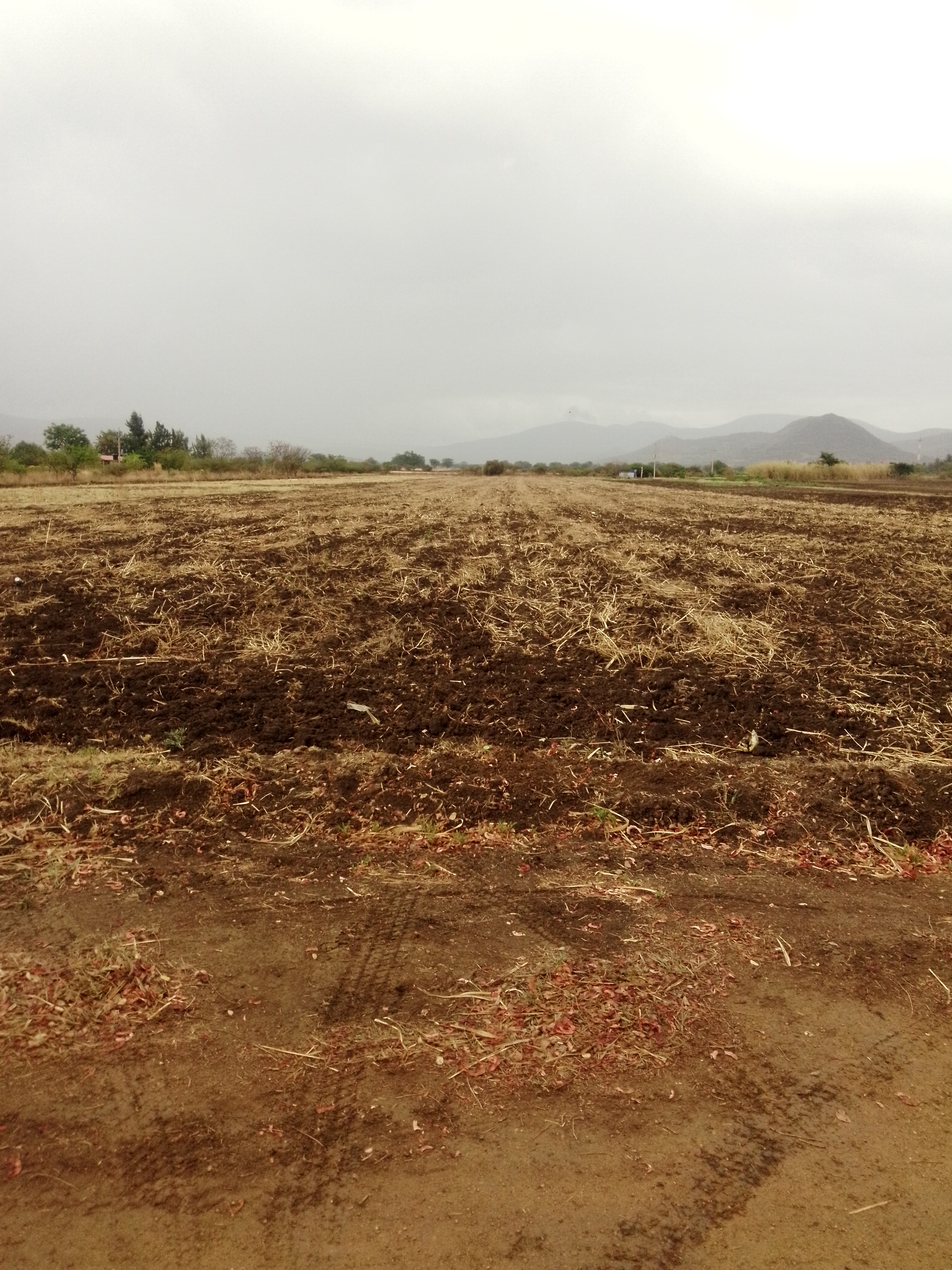 Restaurante De Mariscos "La Perla" image 4