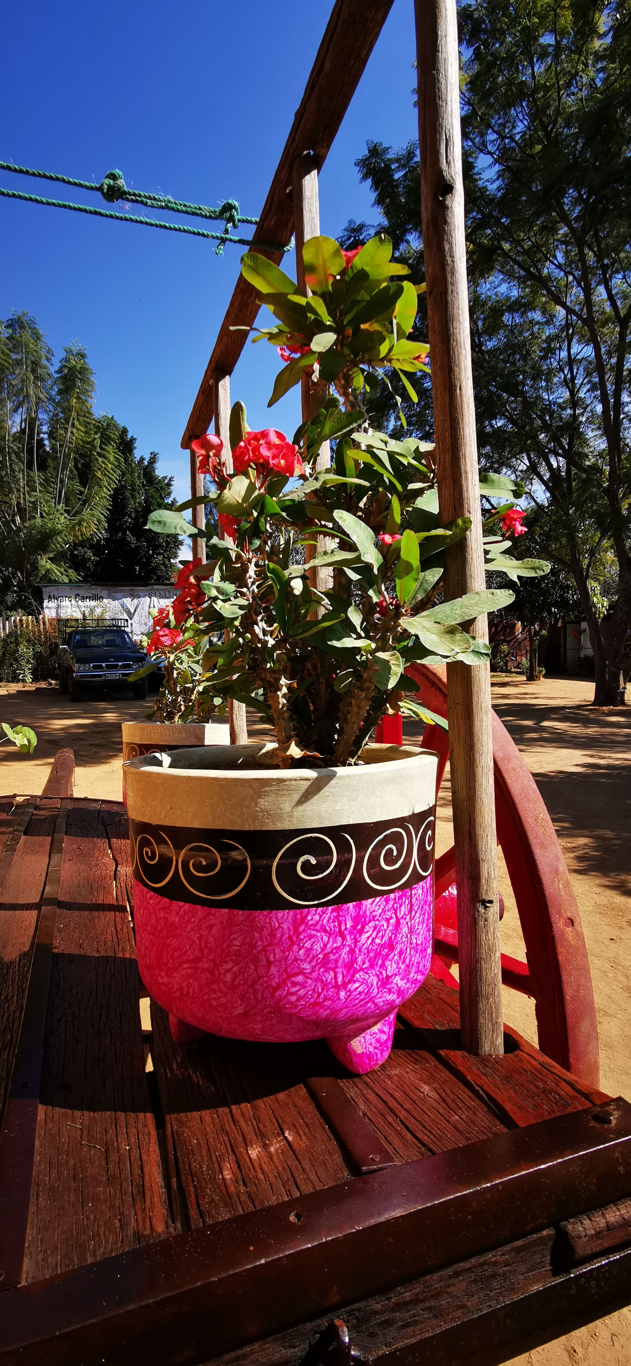 Restaurante familiar marisqueria La casita de Adobe image 8