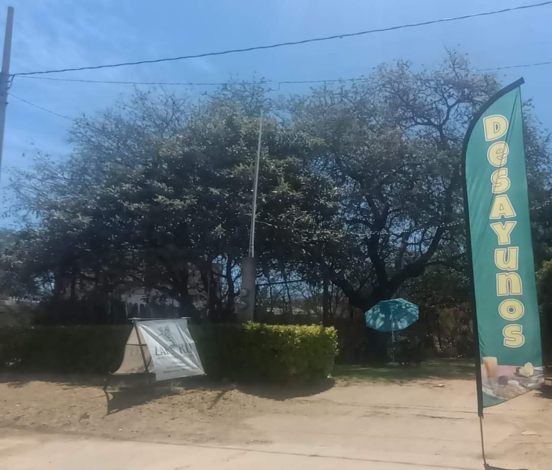 Restaurant zafiro image 6