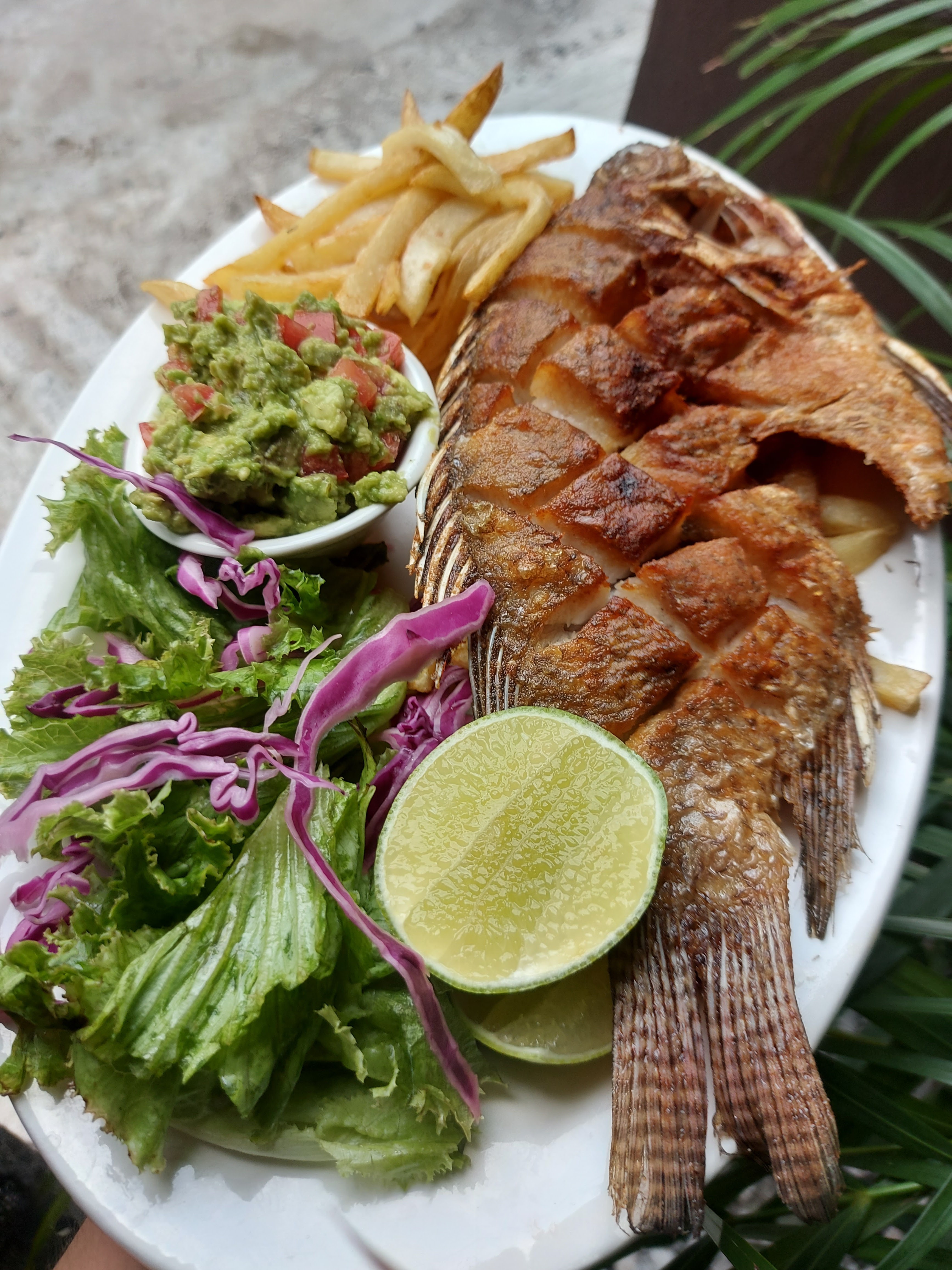 CHARALITOS SEAFOOD image 3