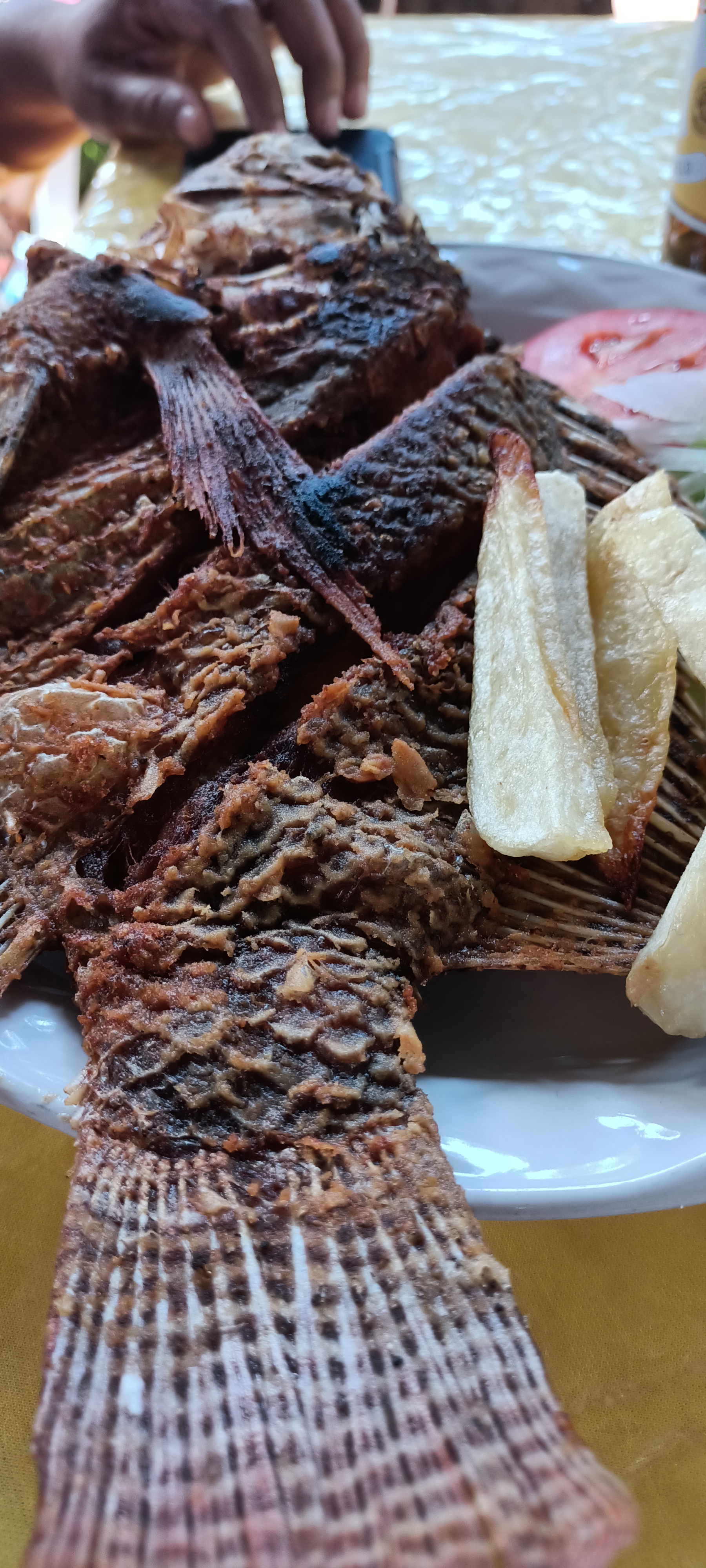 Restaurant La Selva de Olegario image 2