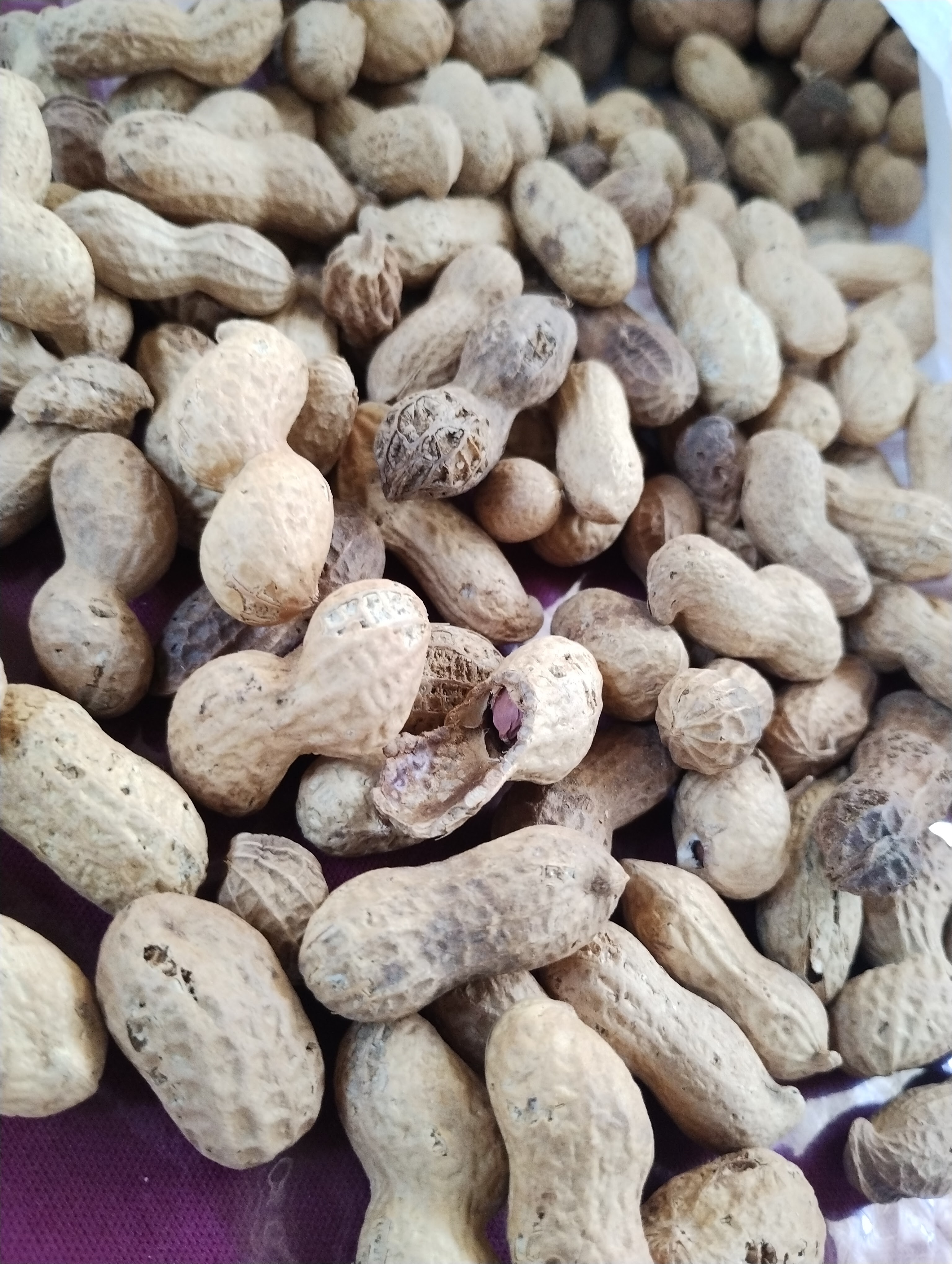 Restaurant La Selva de Olegario image 6