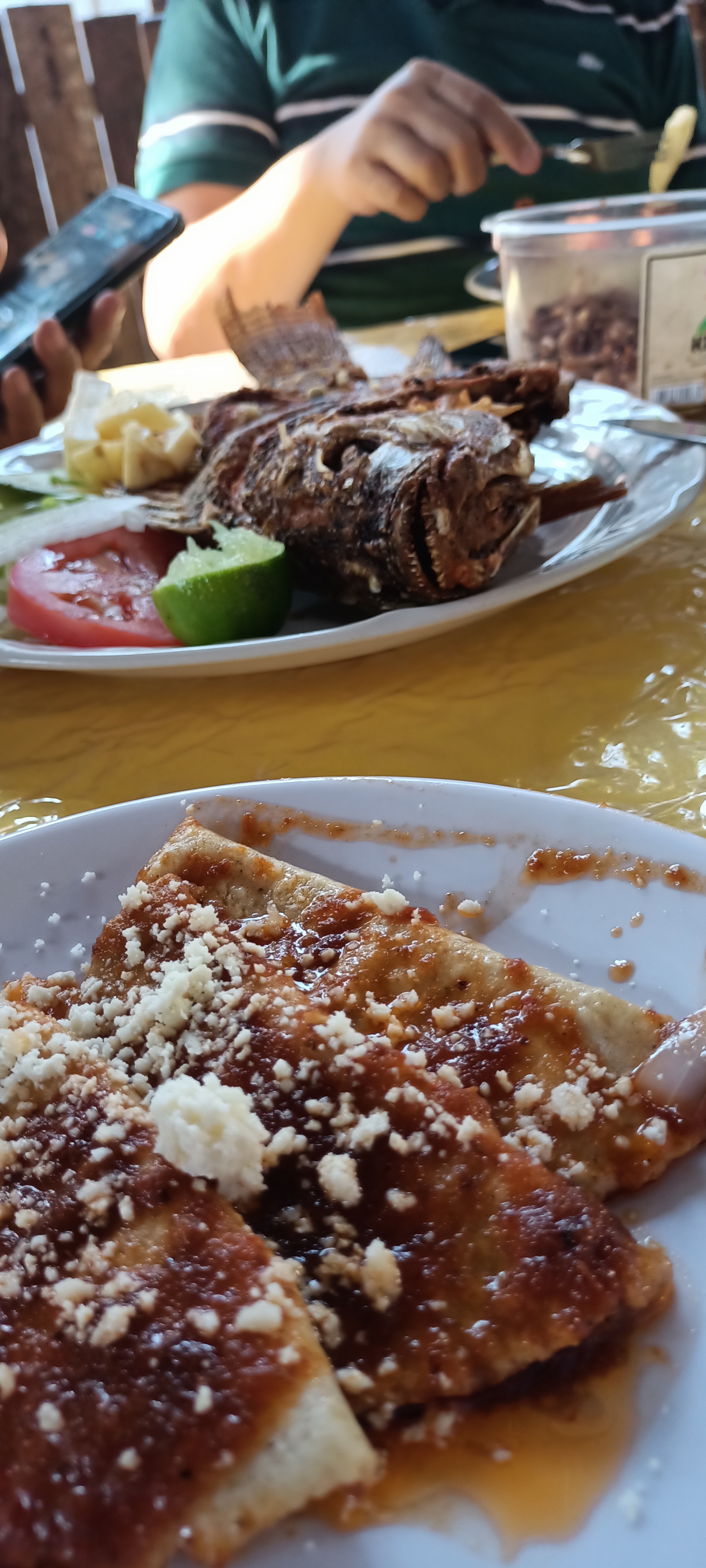 Restaurant La Selva de Olegario image 7