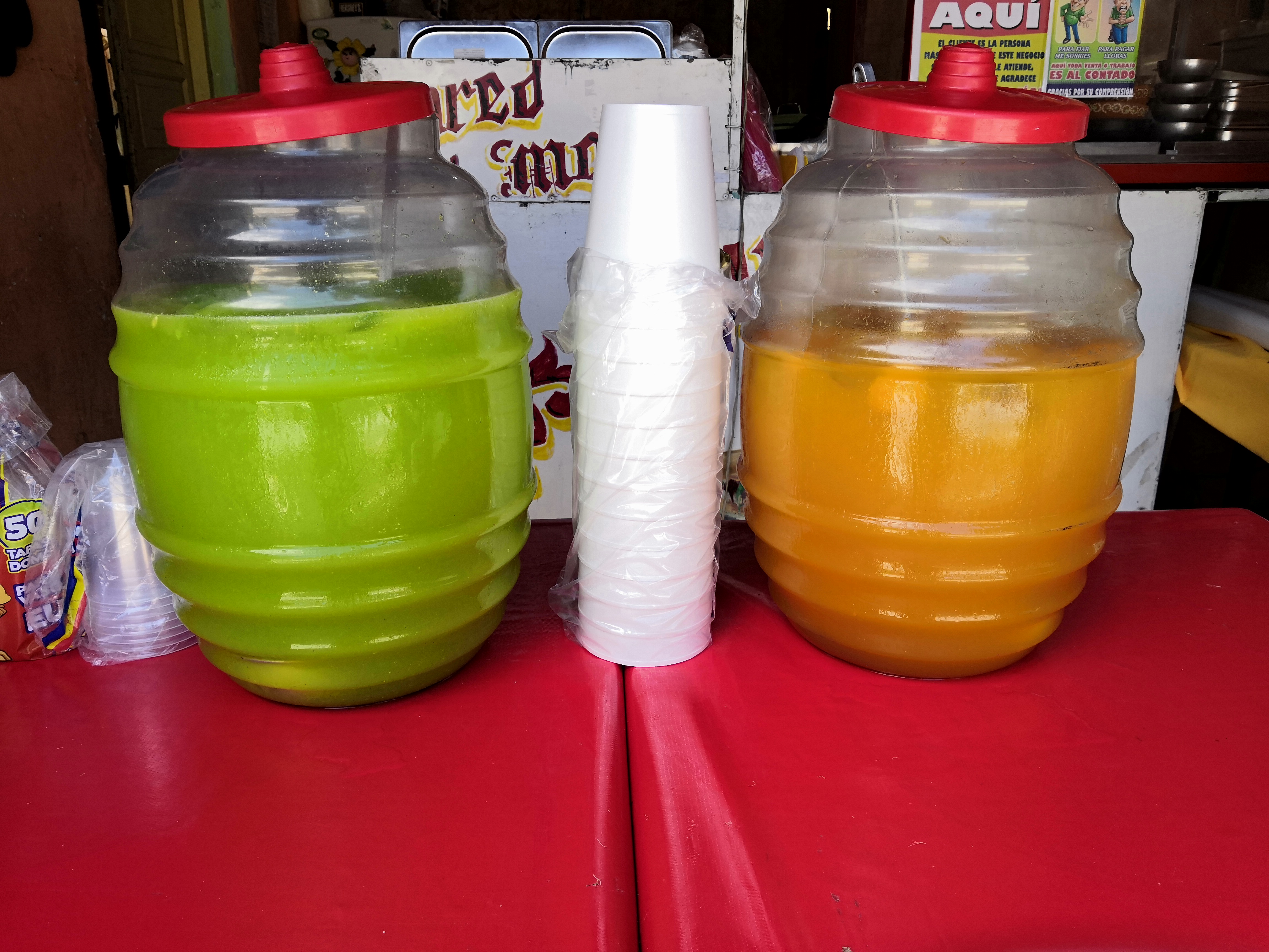 Loncheria Laura image 5