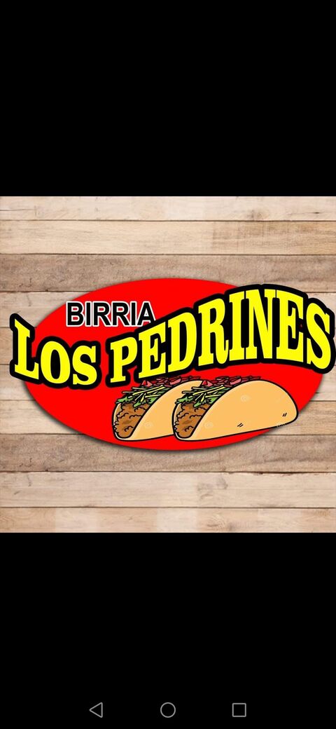 Birria los pedrines image 2