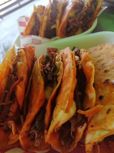 Birria los pedrines image 9