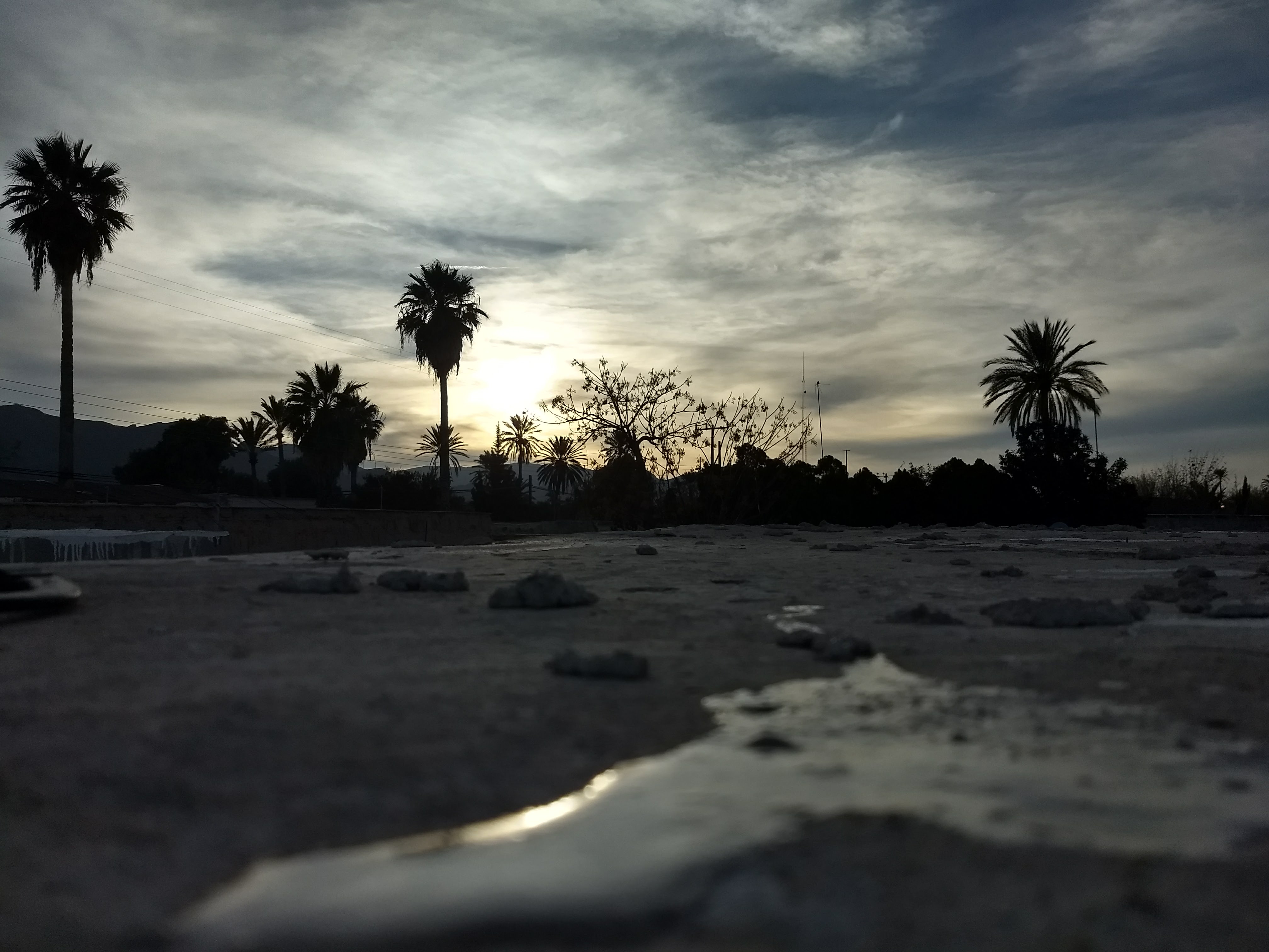 Pollos Muruaga image 6