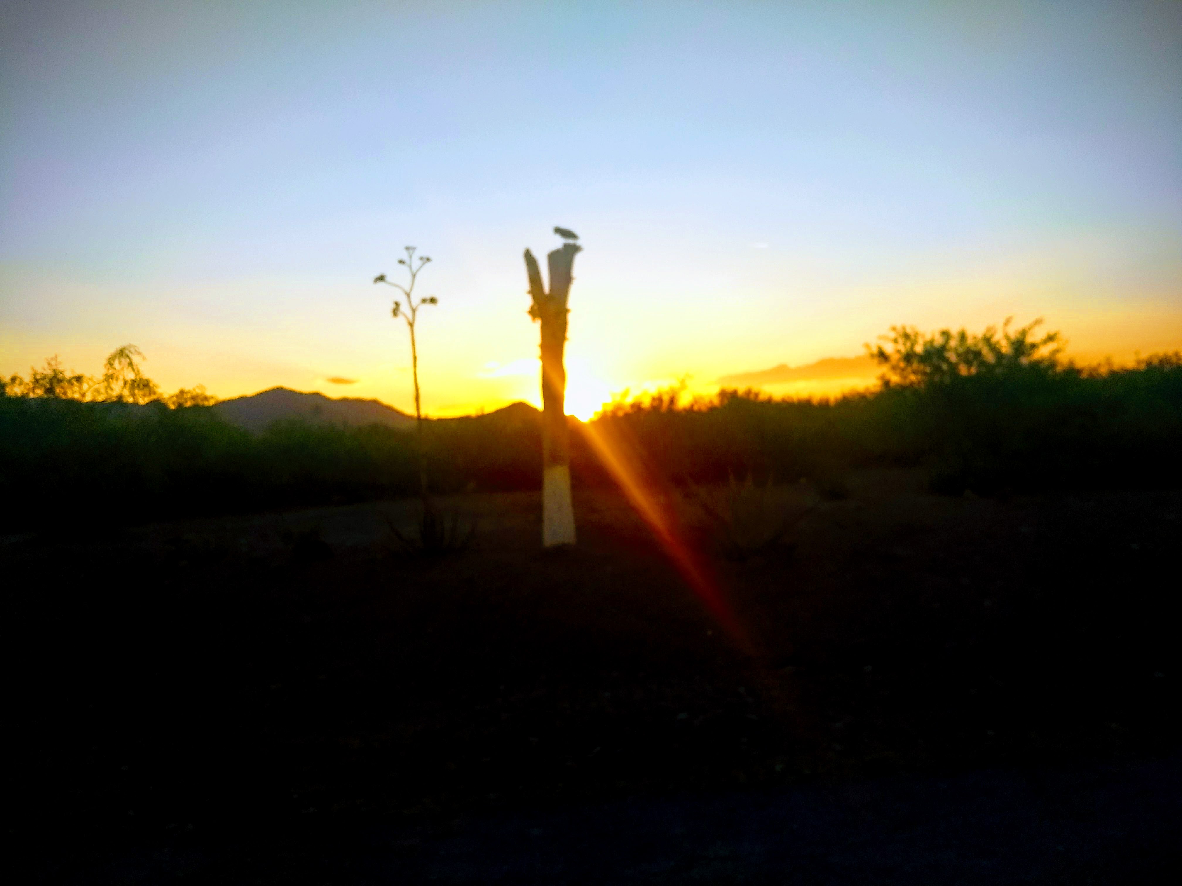 Pollos Muruaga image 10