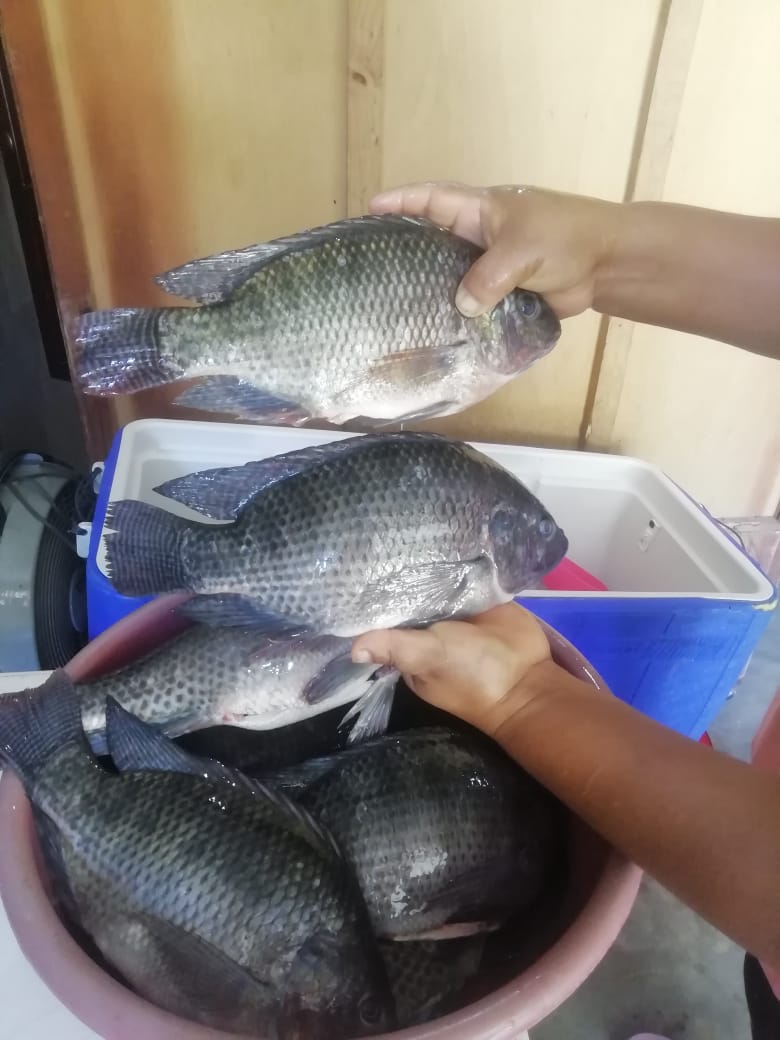 Pescadería Nicole image 1