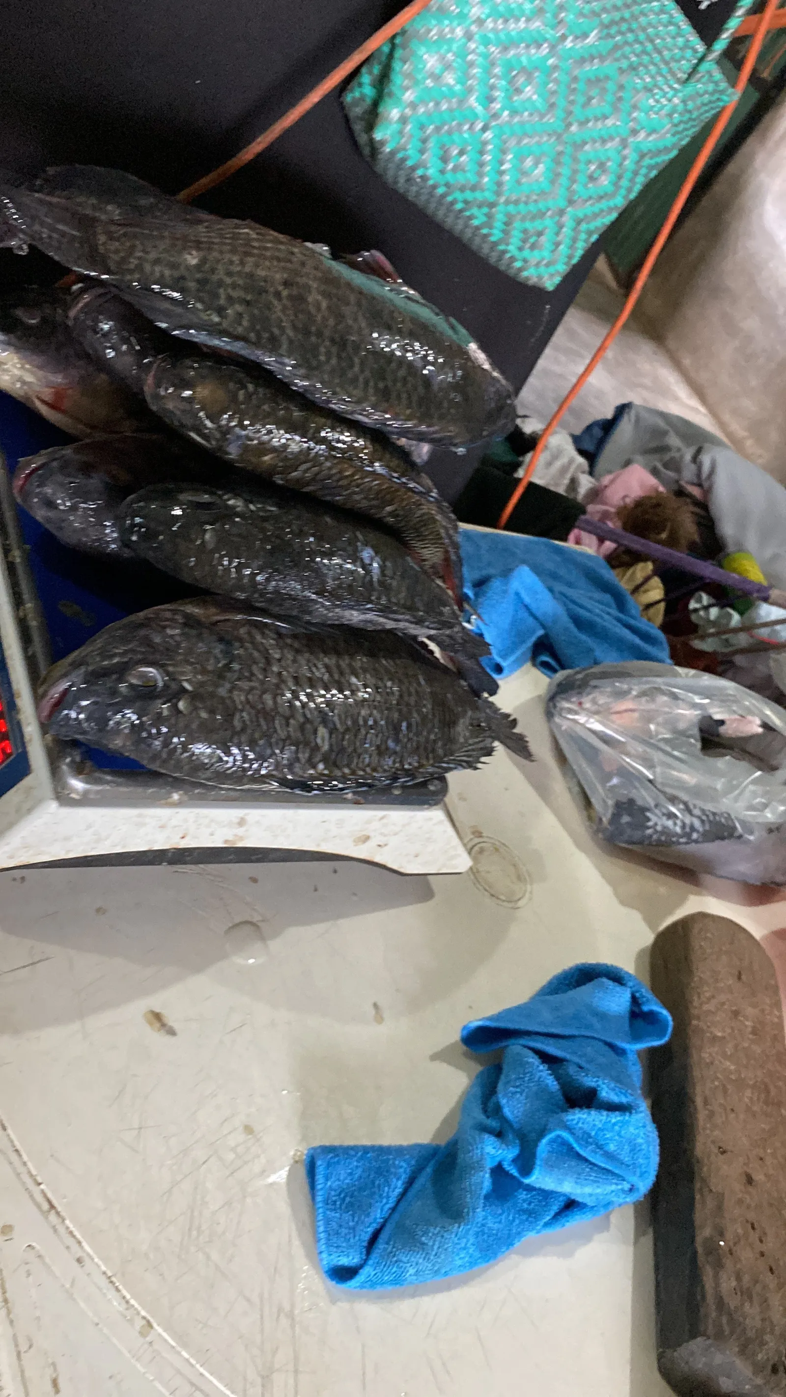 Pescadería Nicole image 2