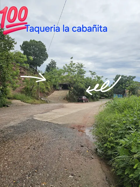 Taqueria la Cabañita image 4