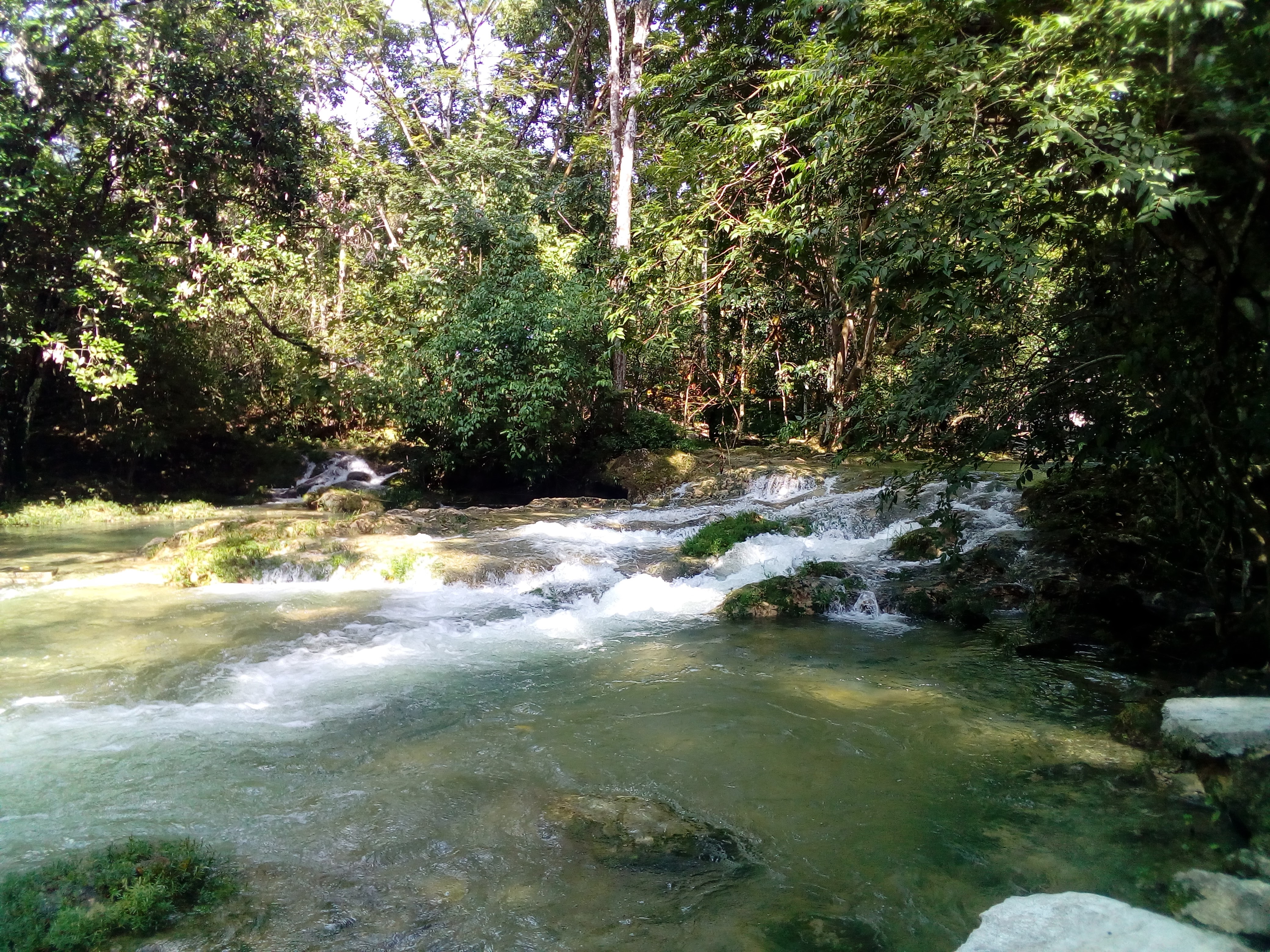 Palapa Islas image 1