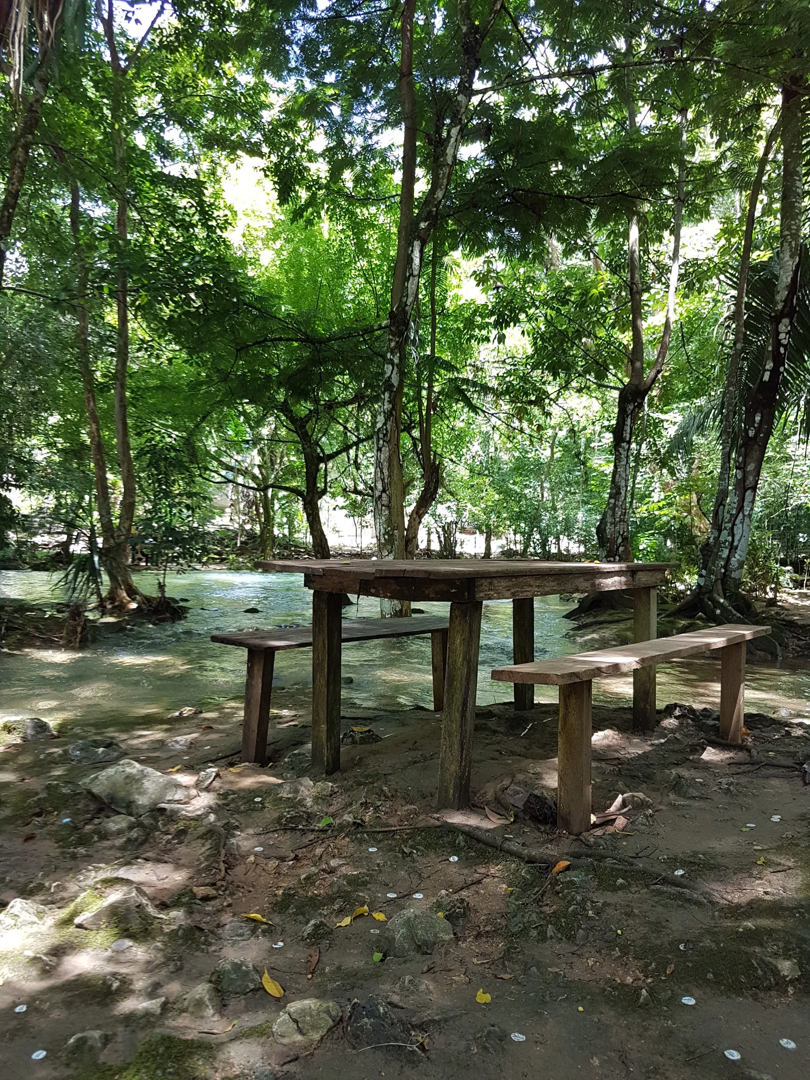 Palapa Islas image 3