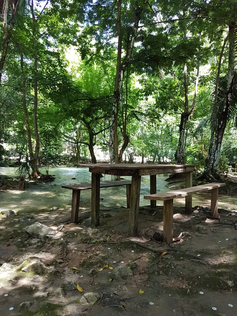 Palapa Islas image 3