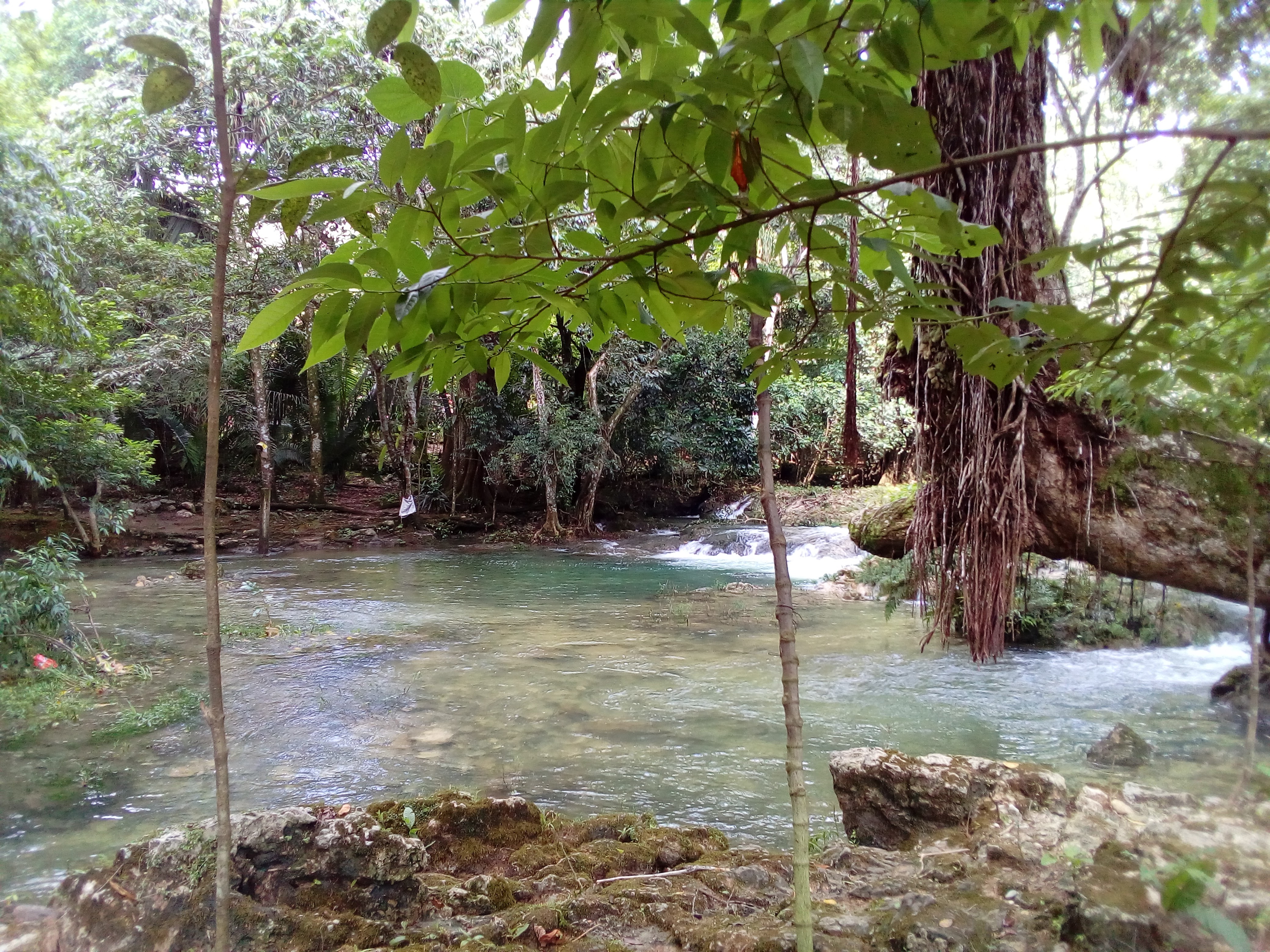 Palapa Islas image 4