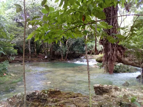 Palapa Islas image 4