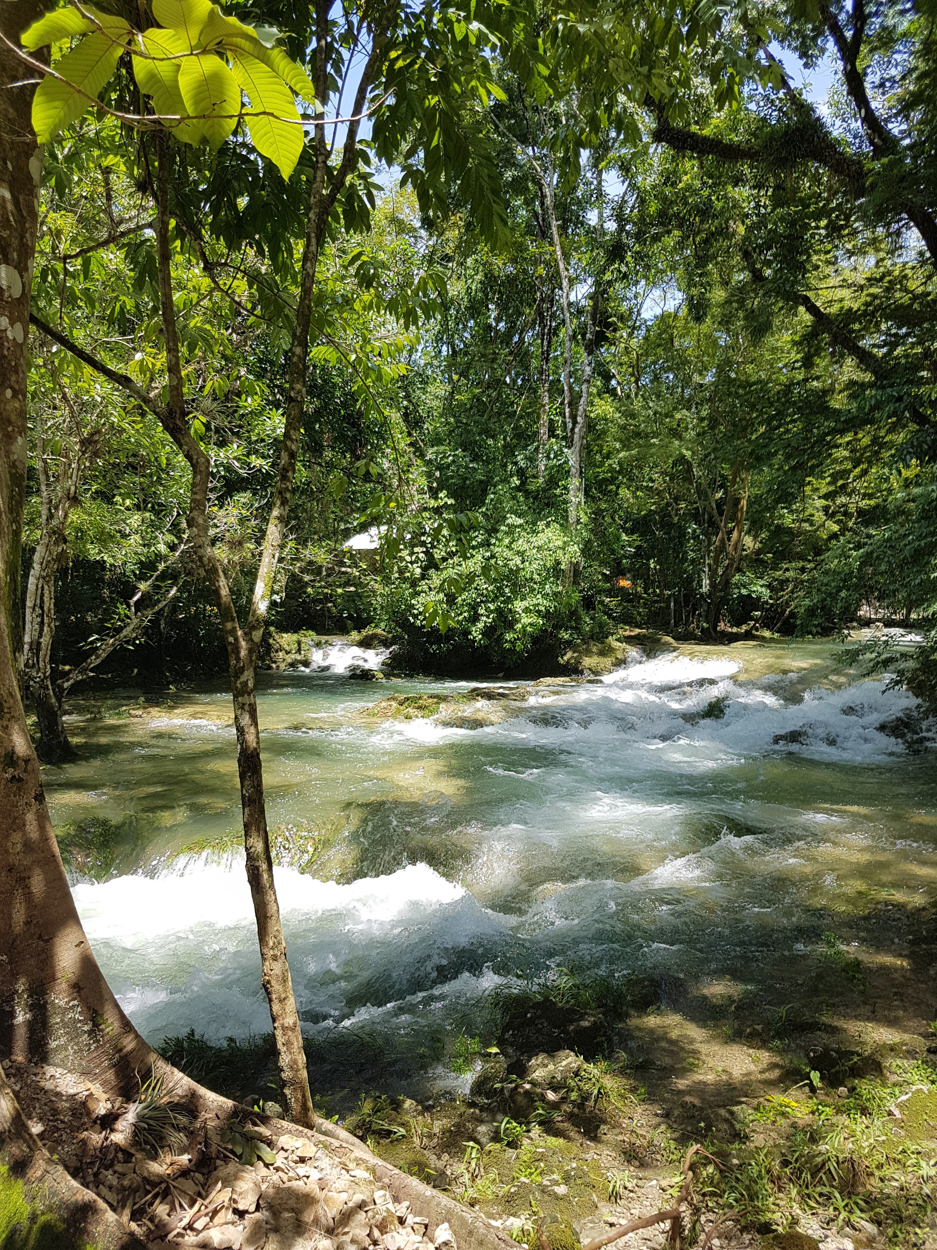 Palapa Islas image 5