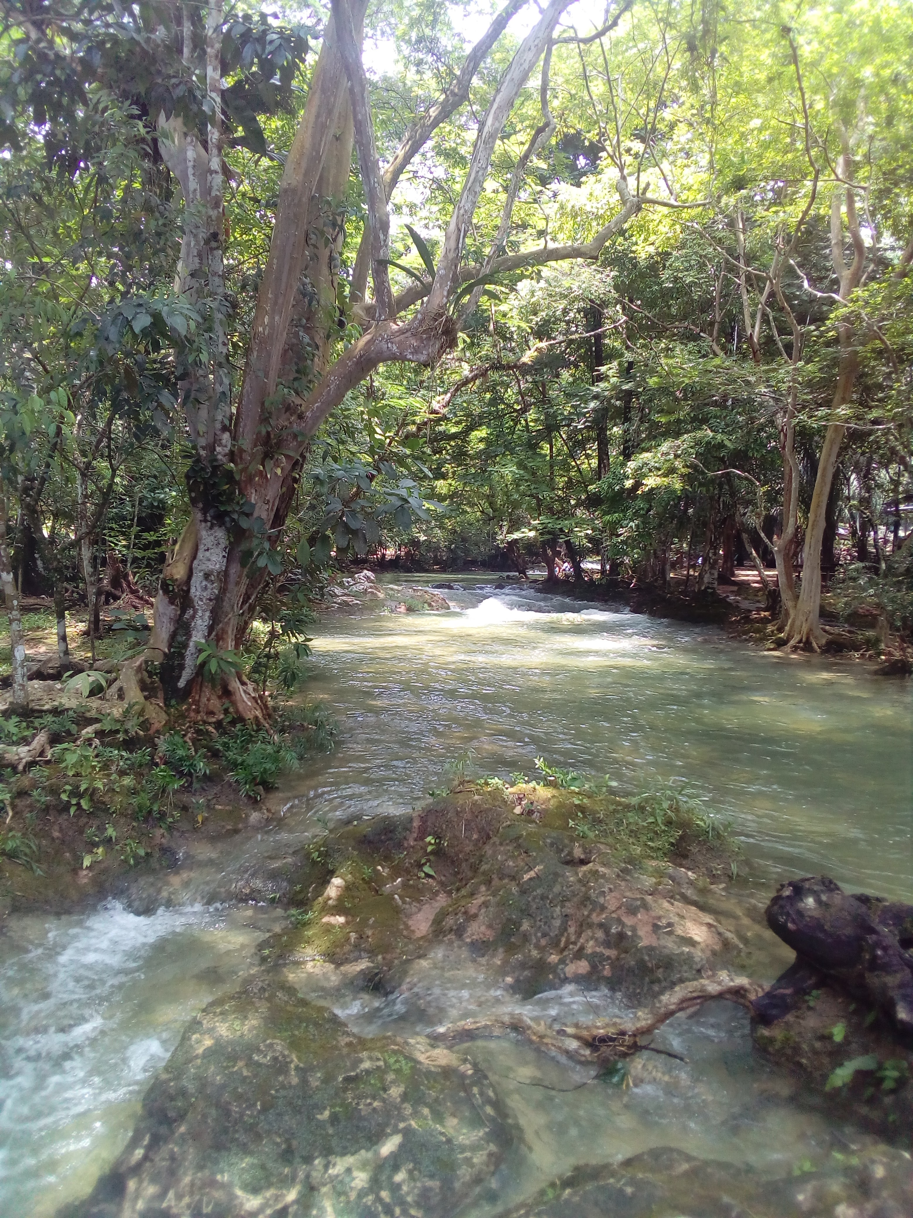 Palapa Islas image 9