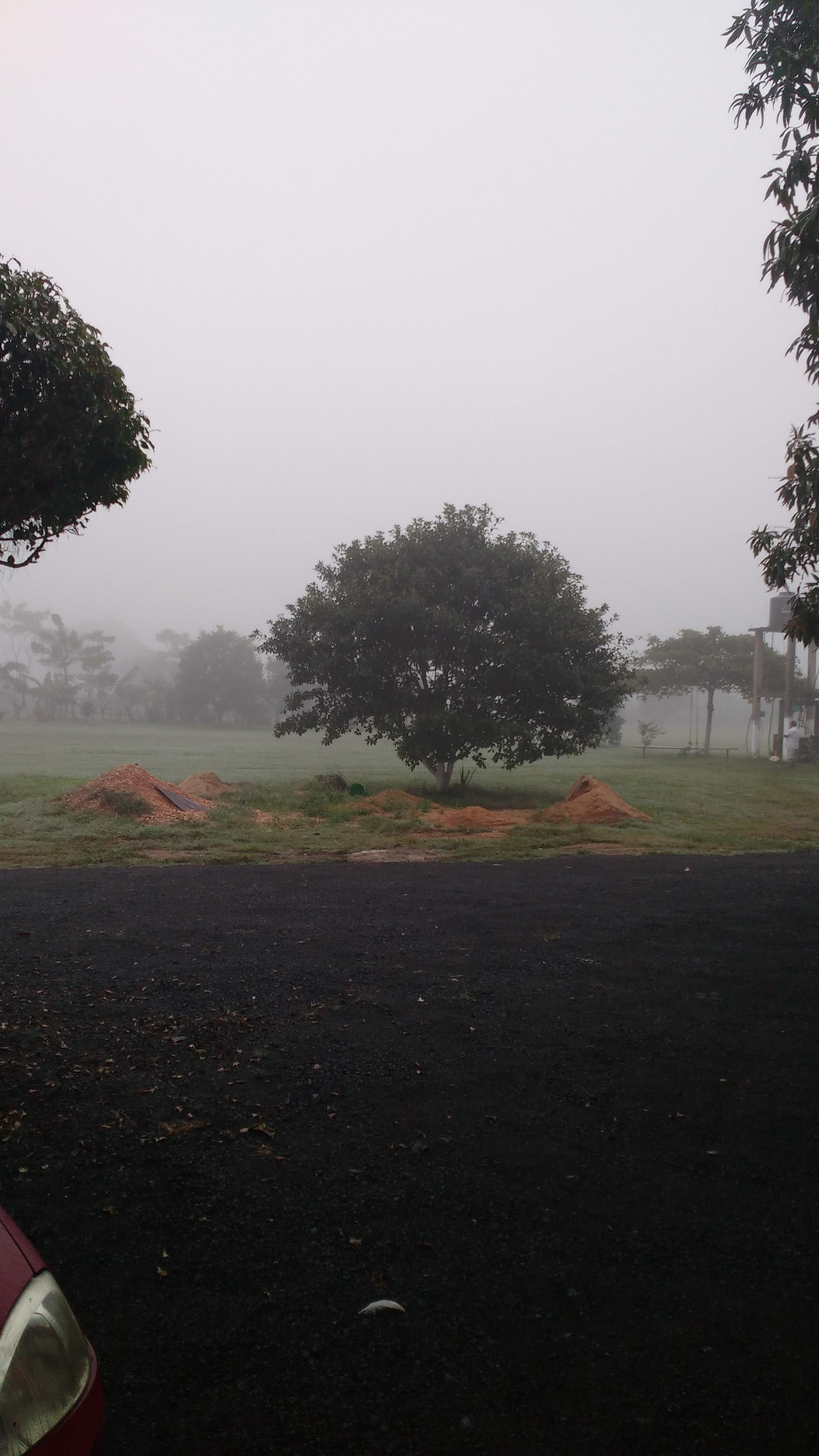 Restaurante de Mariscos Mary image 3