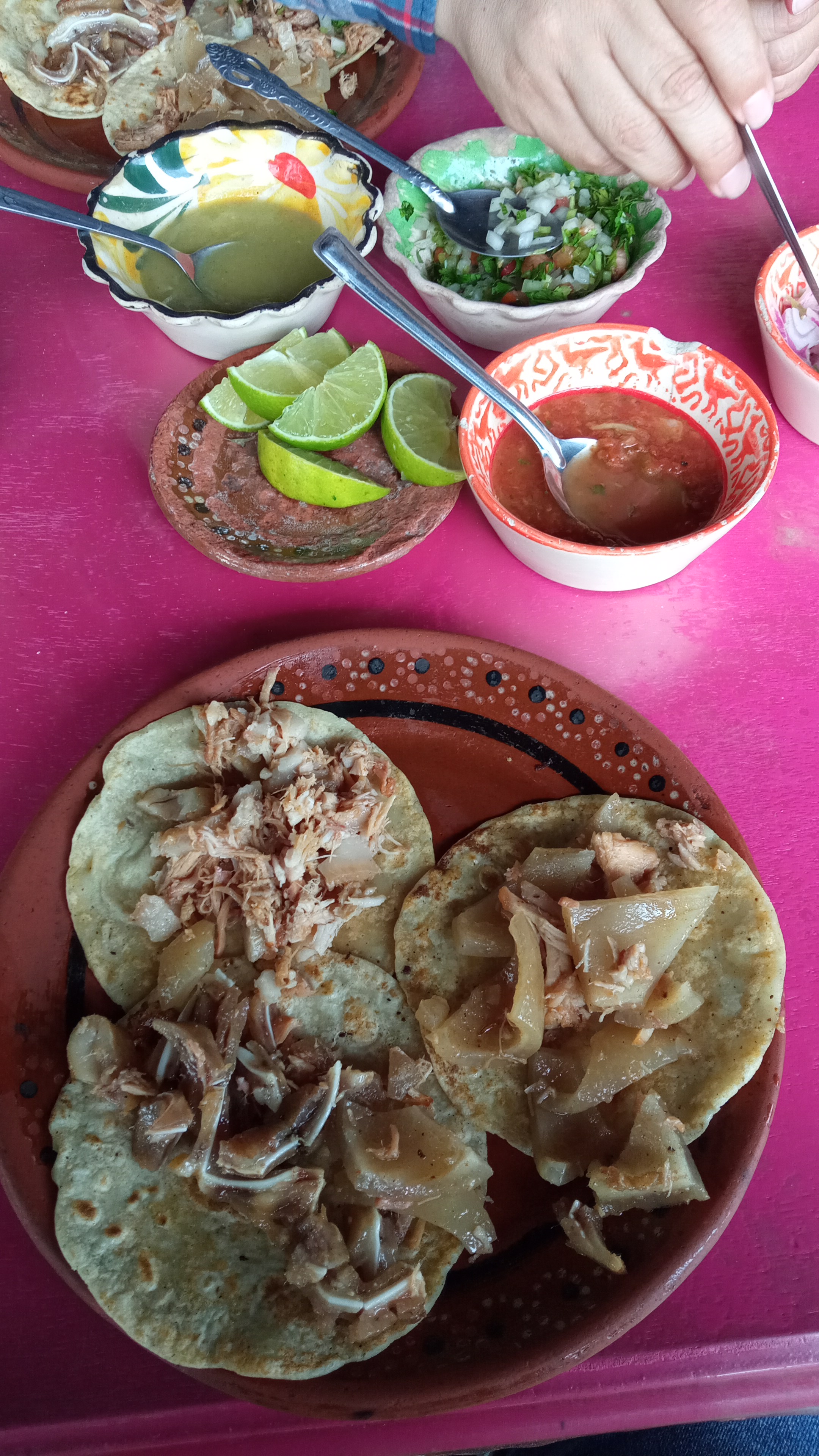 Carnitas Lely image 6