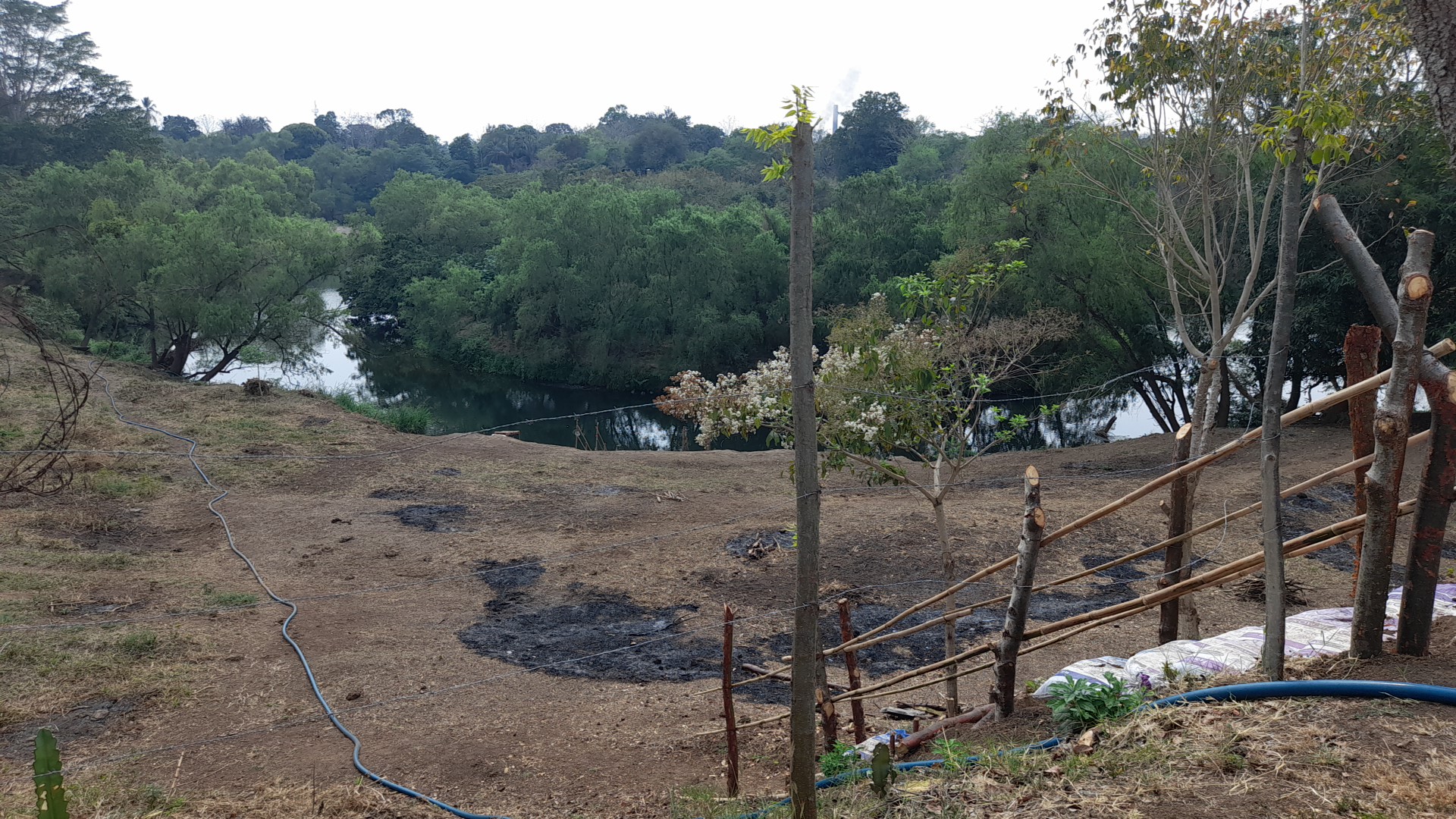 Rancho miapilla image 2