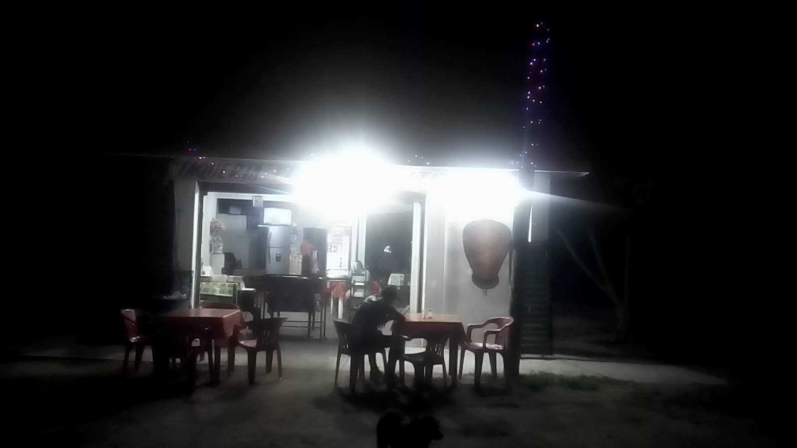 Taqueria El Pastorcito image 6