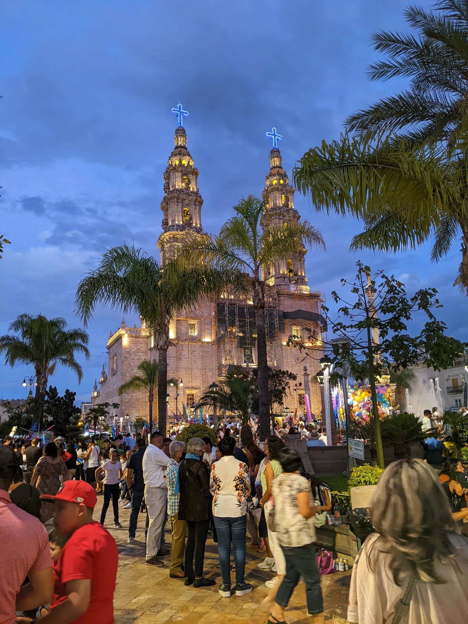 Sabrozone image 10