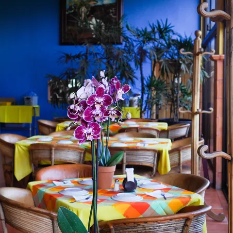 Las Juanas image 4