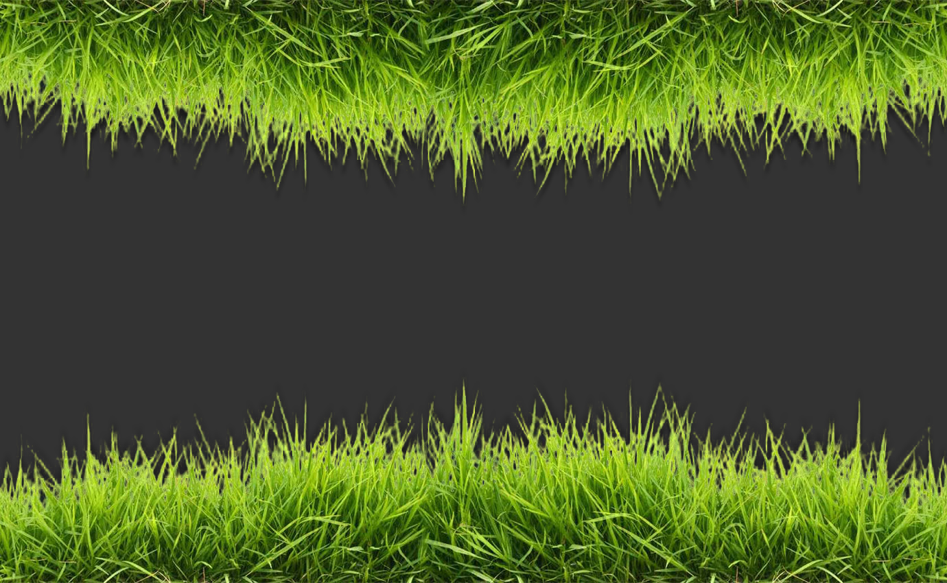 Patio Siete Tres image 3