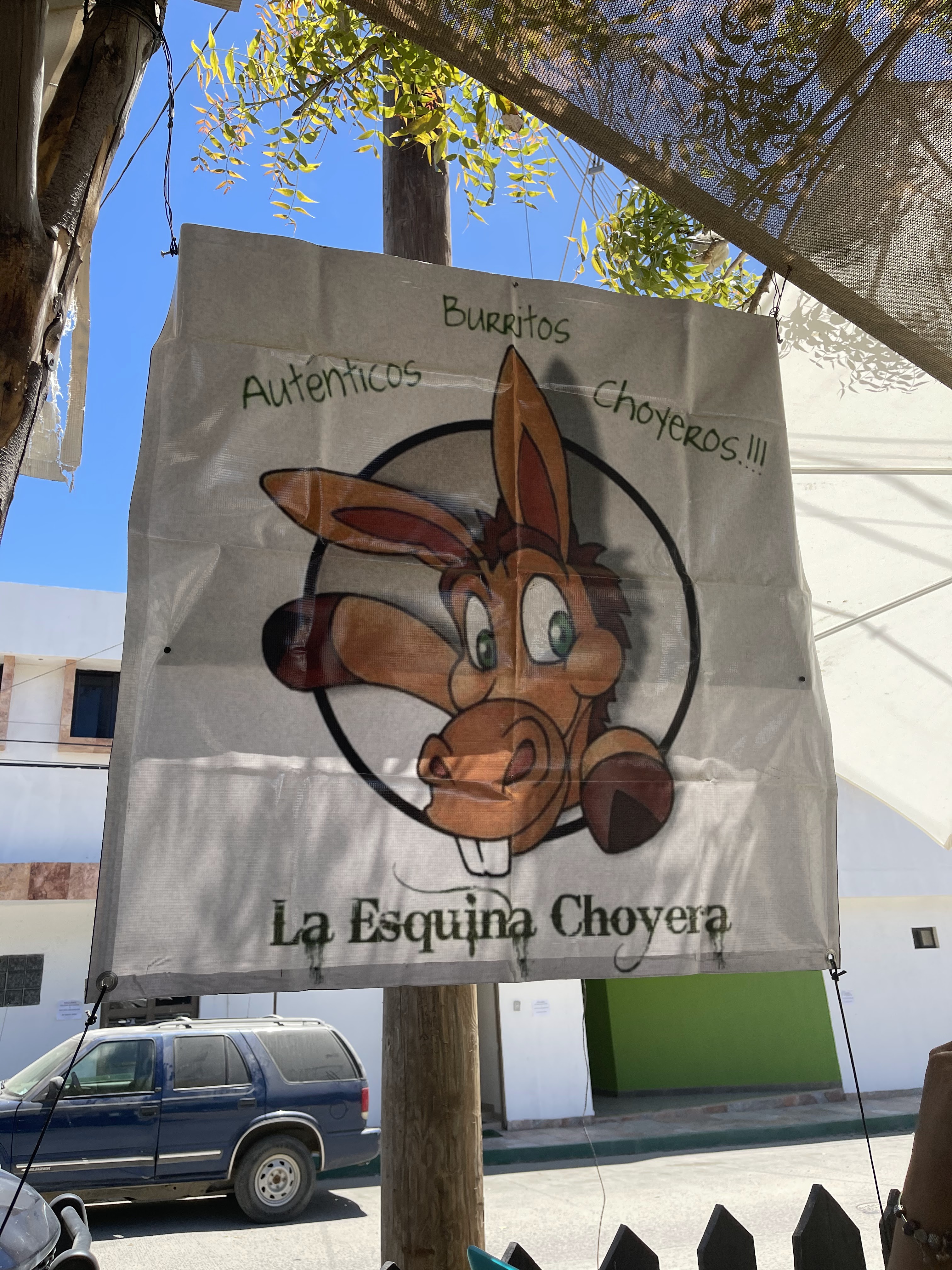 La Esquina Choyera 1 image 7