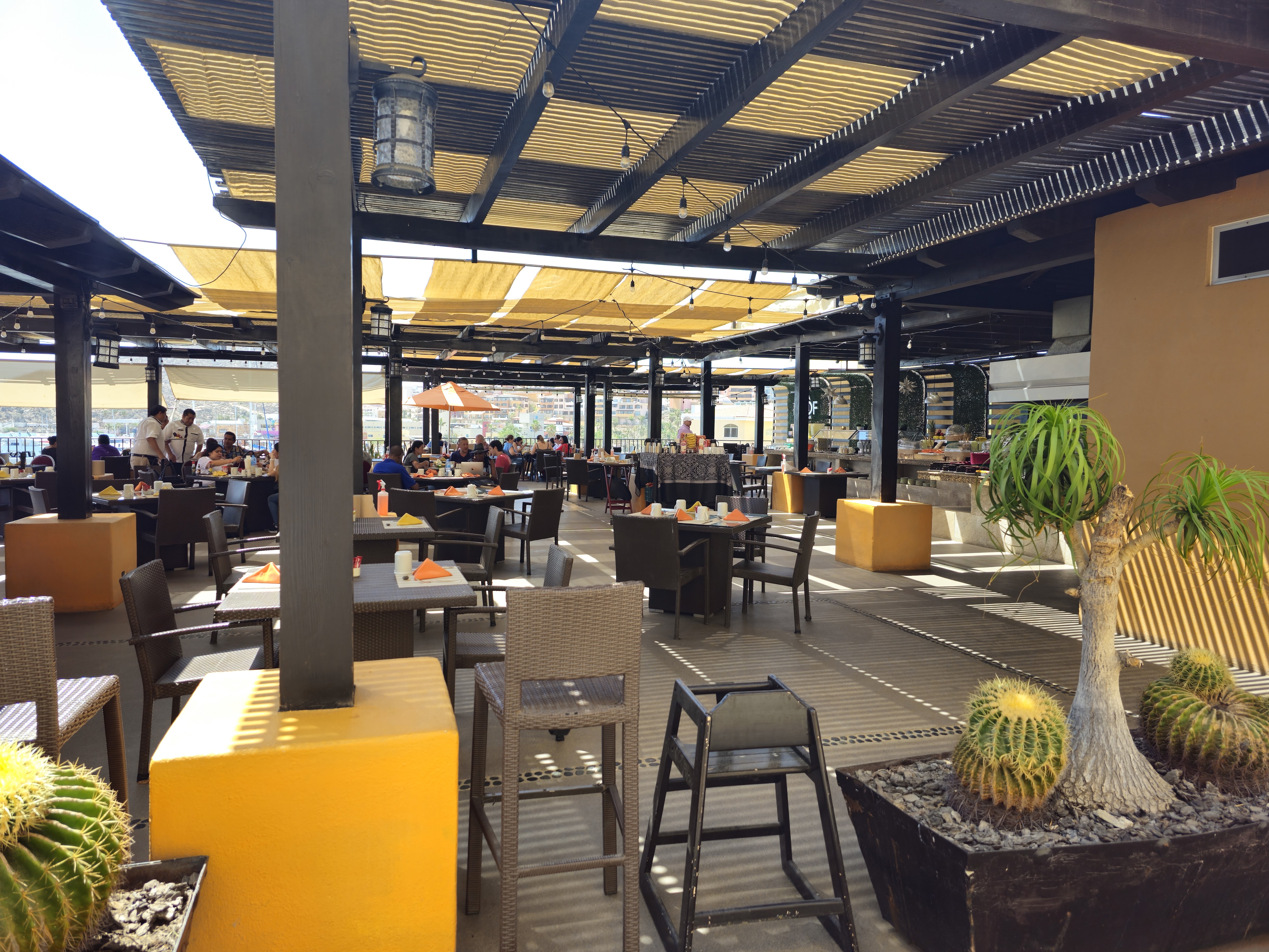 Restaurant VistaRoof by Tesoro Los Cabos image 1