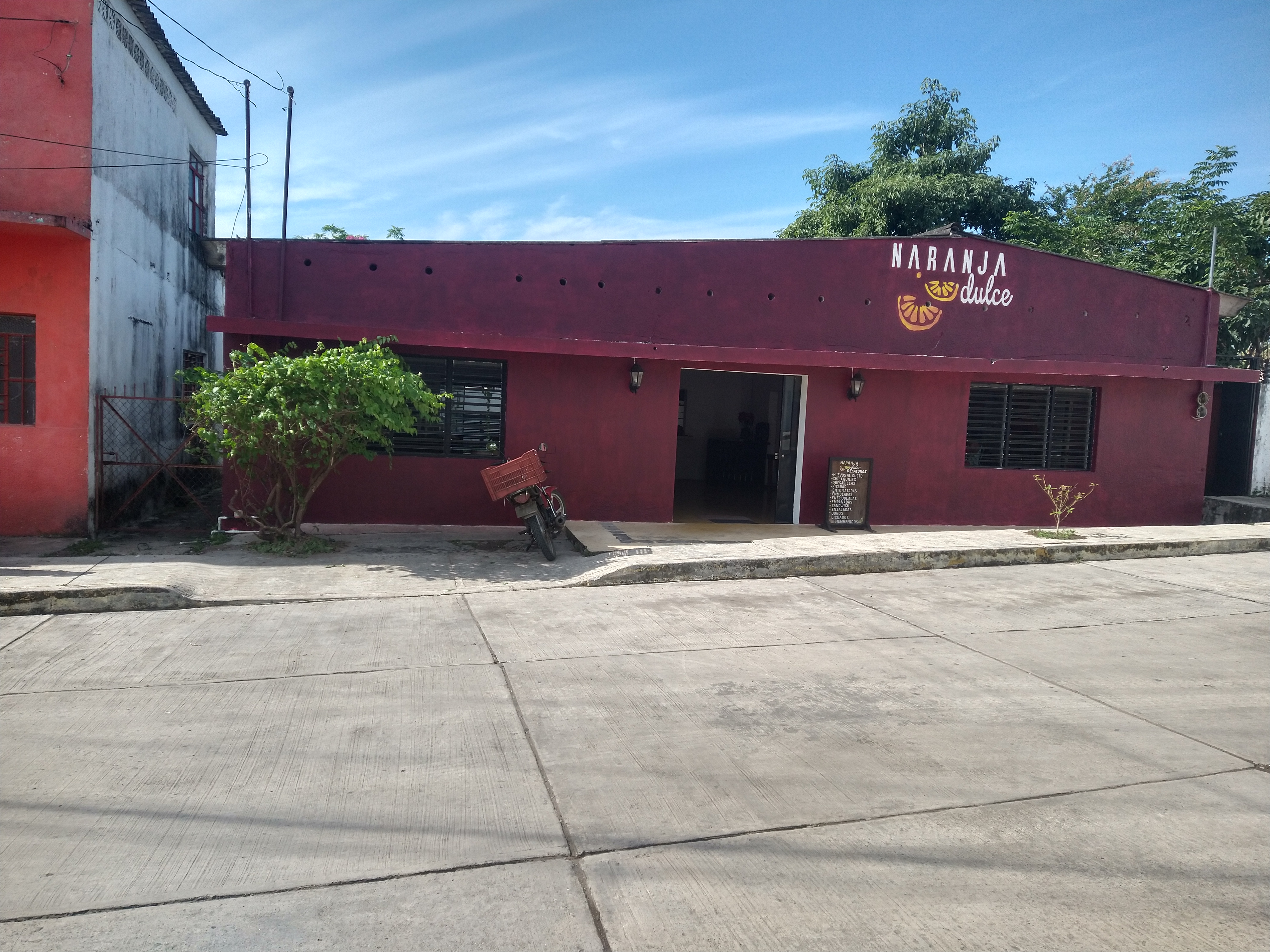 Naranja Dulce image 5