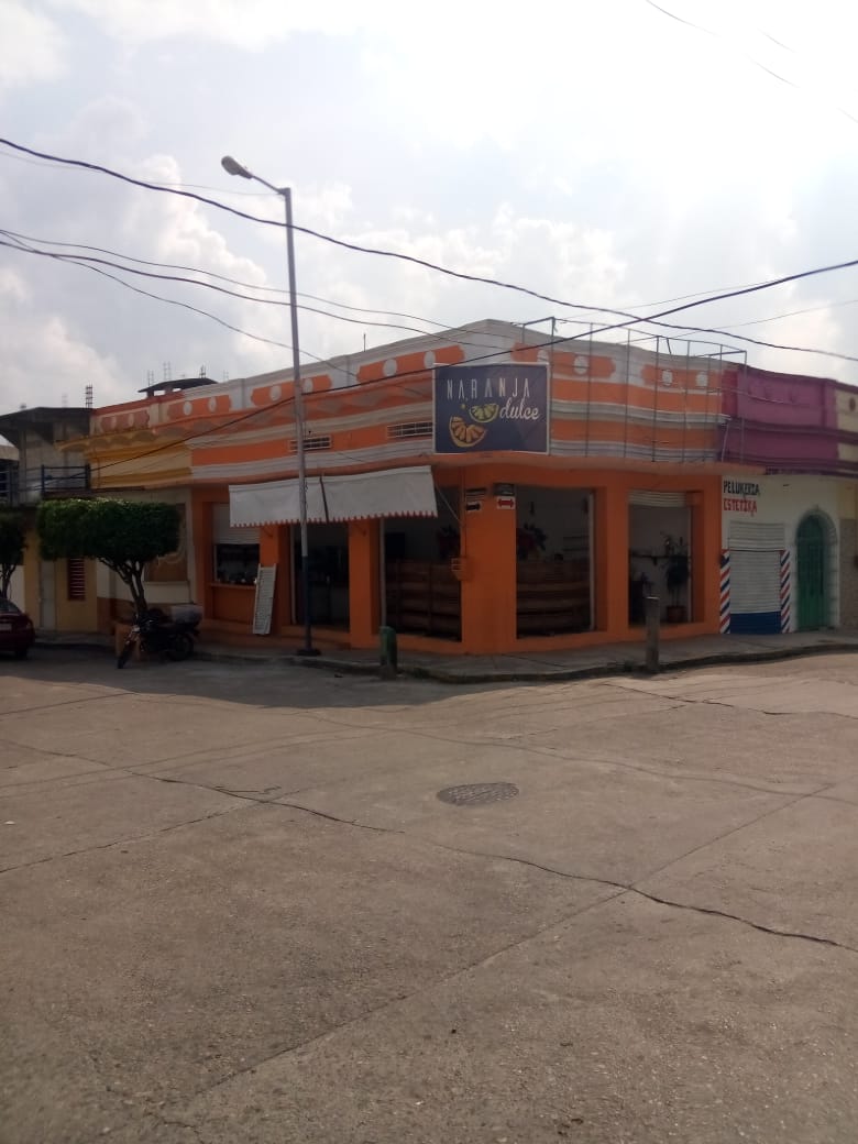 Naranja Dulce image 8