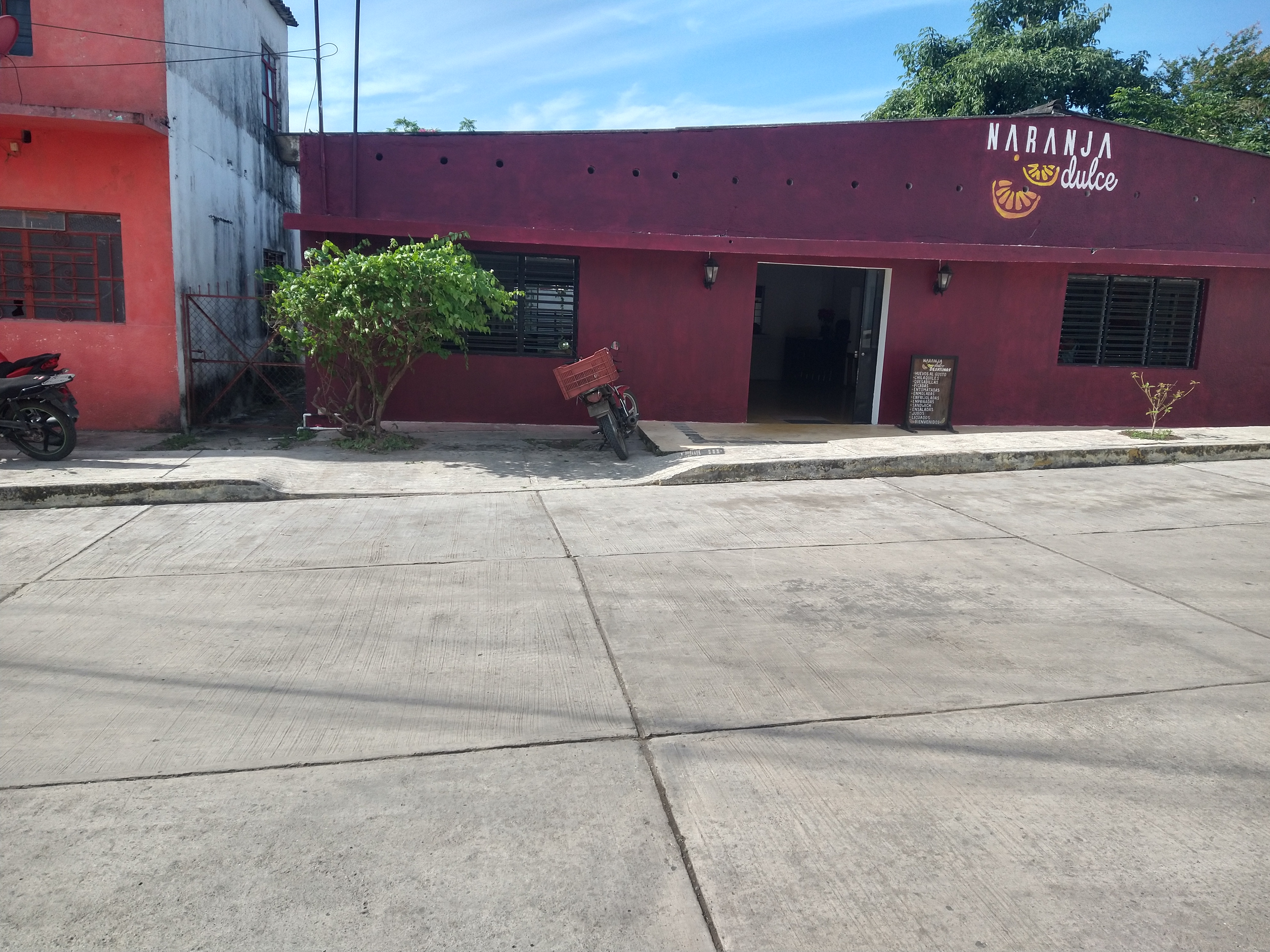 Naranja Dulce image 9