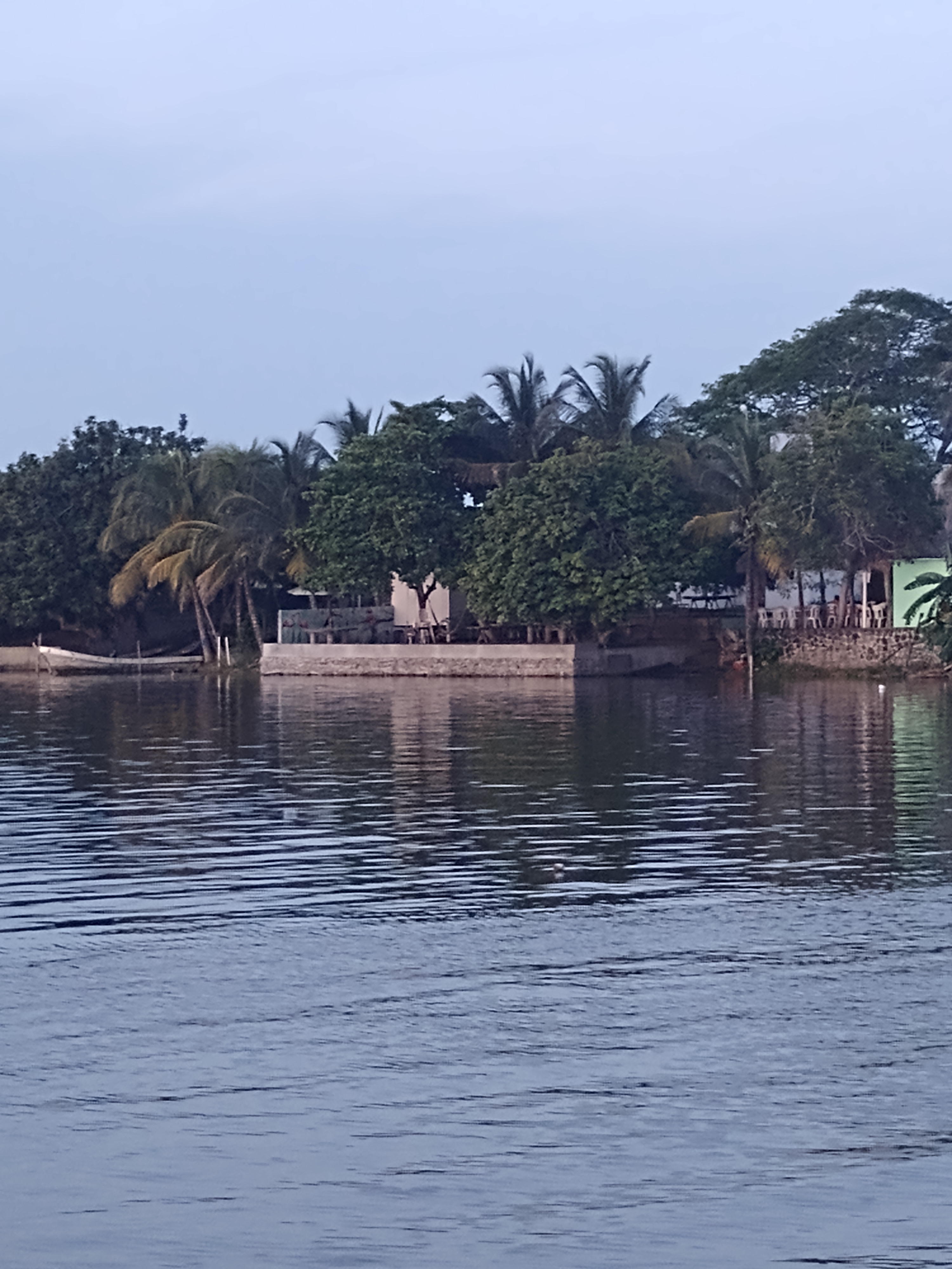 El Rinconcito Restaurant image 1