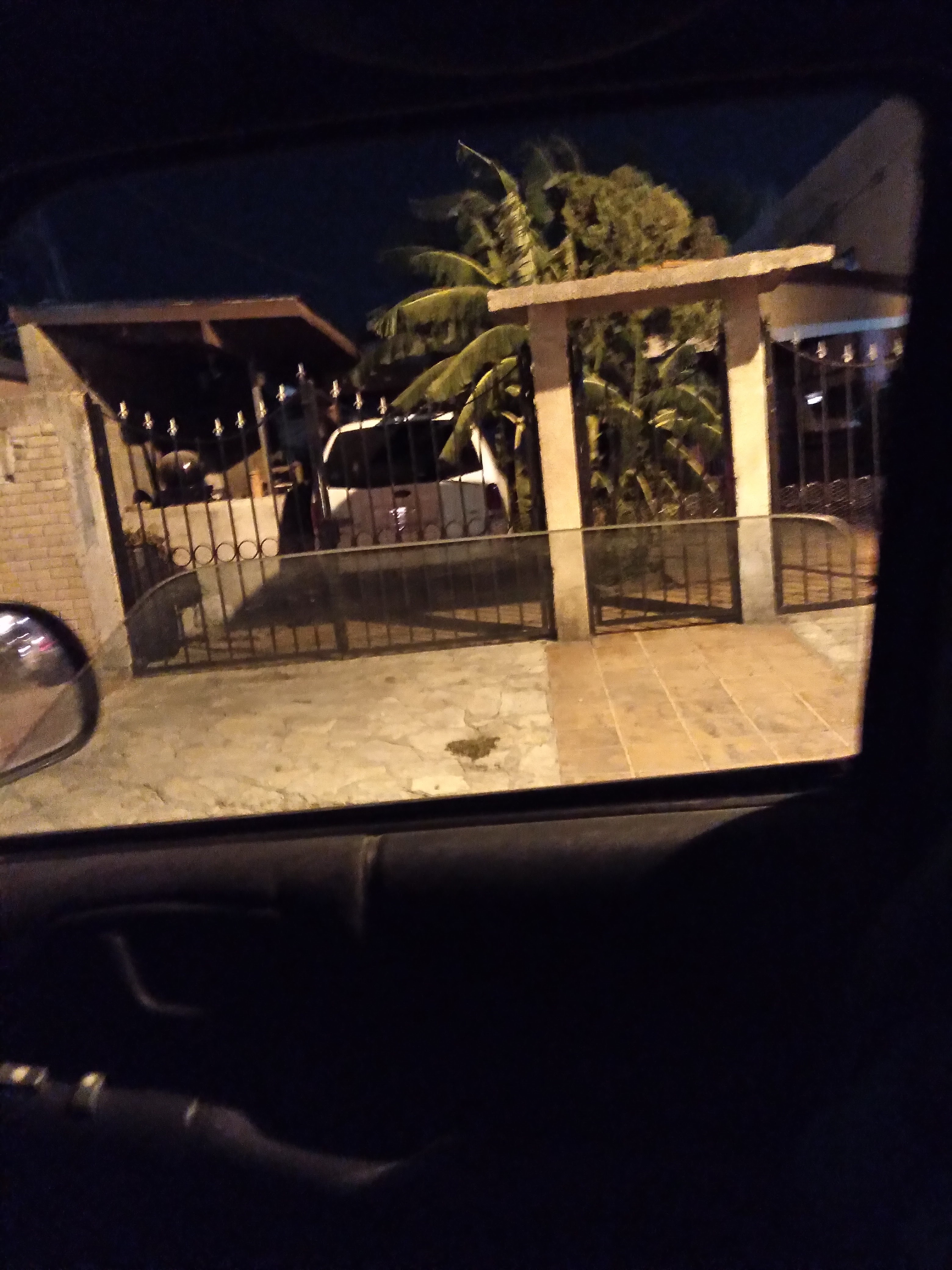 Los Pavitos II image 5