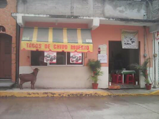 Taquería El Chivo Muerto image 1