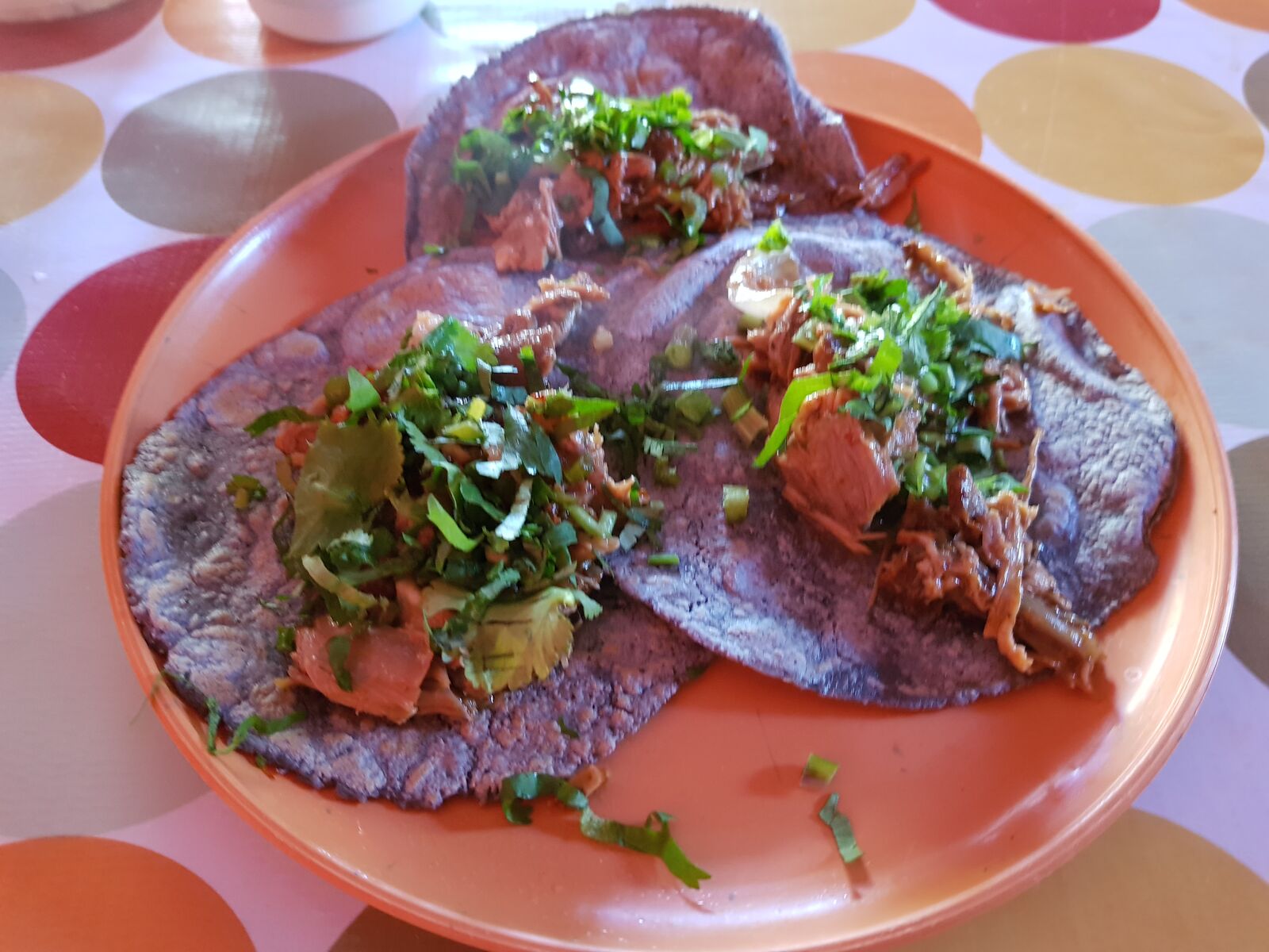 El Chivo Rico image 1