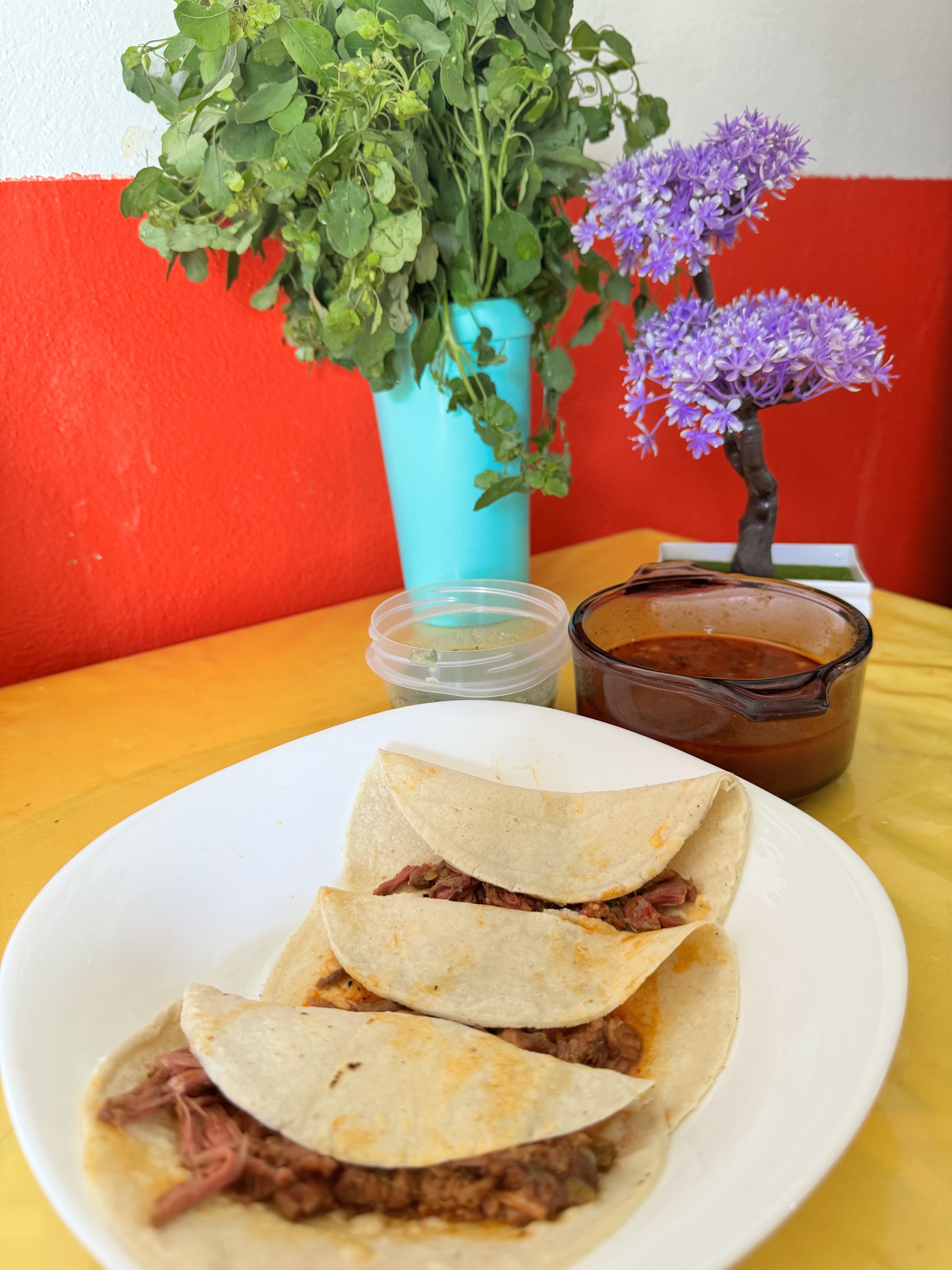 Tacoketo Tlapa image 5