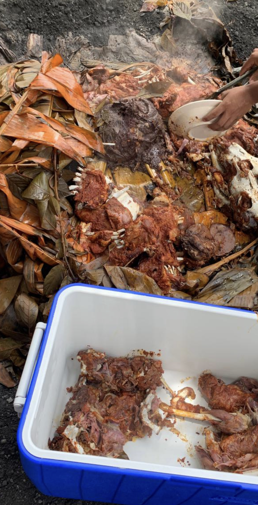 BARBACOA DE CHIVO SAN JUDITAS image 5